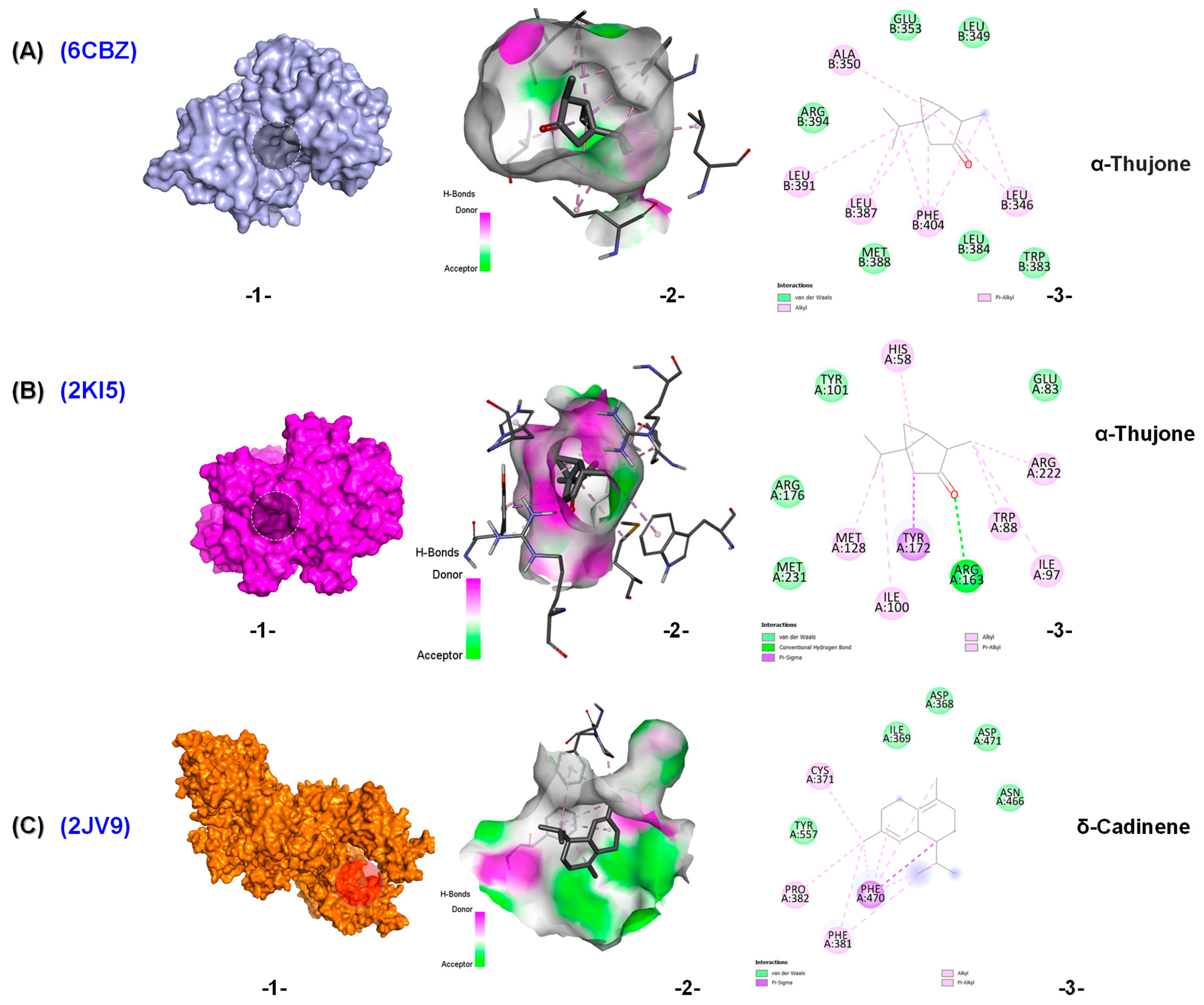 Molecules 30 04182 g006