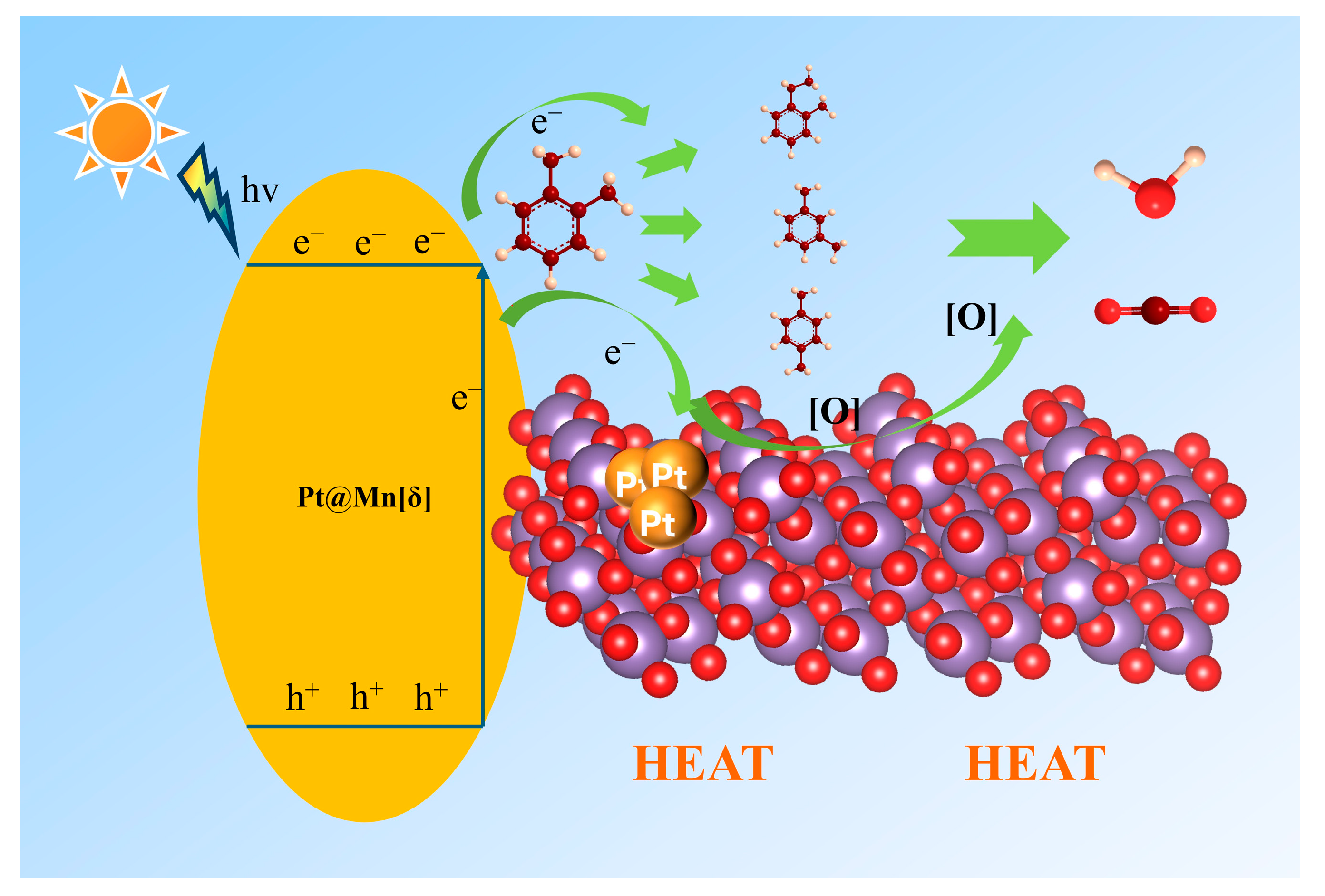 Molecules 30 04193 g008