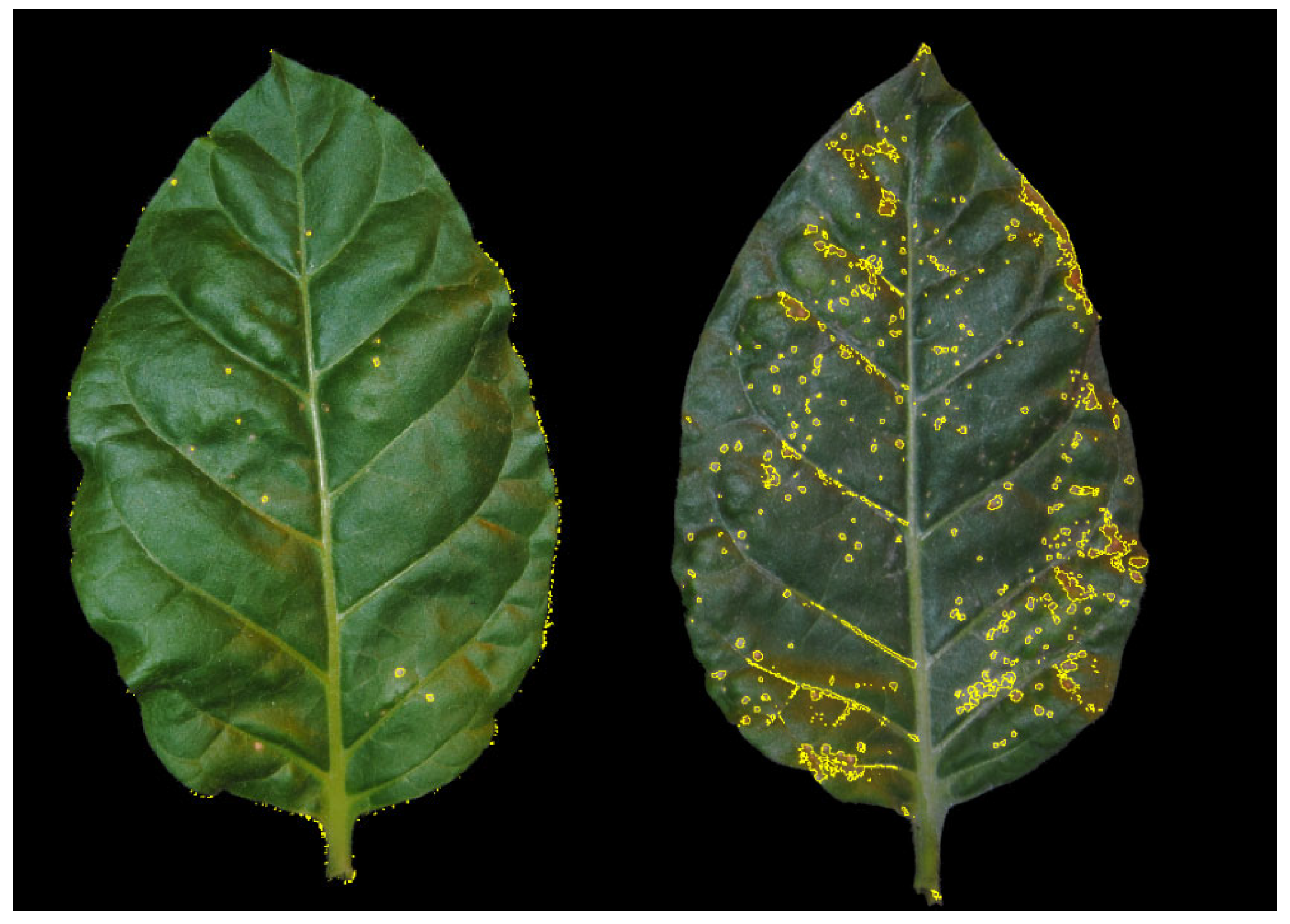 Molecules 30 04203 g002