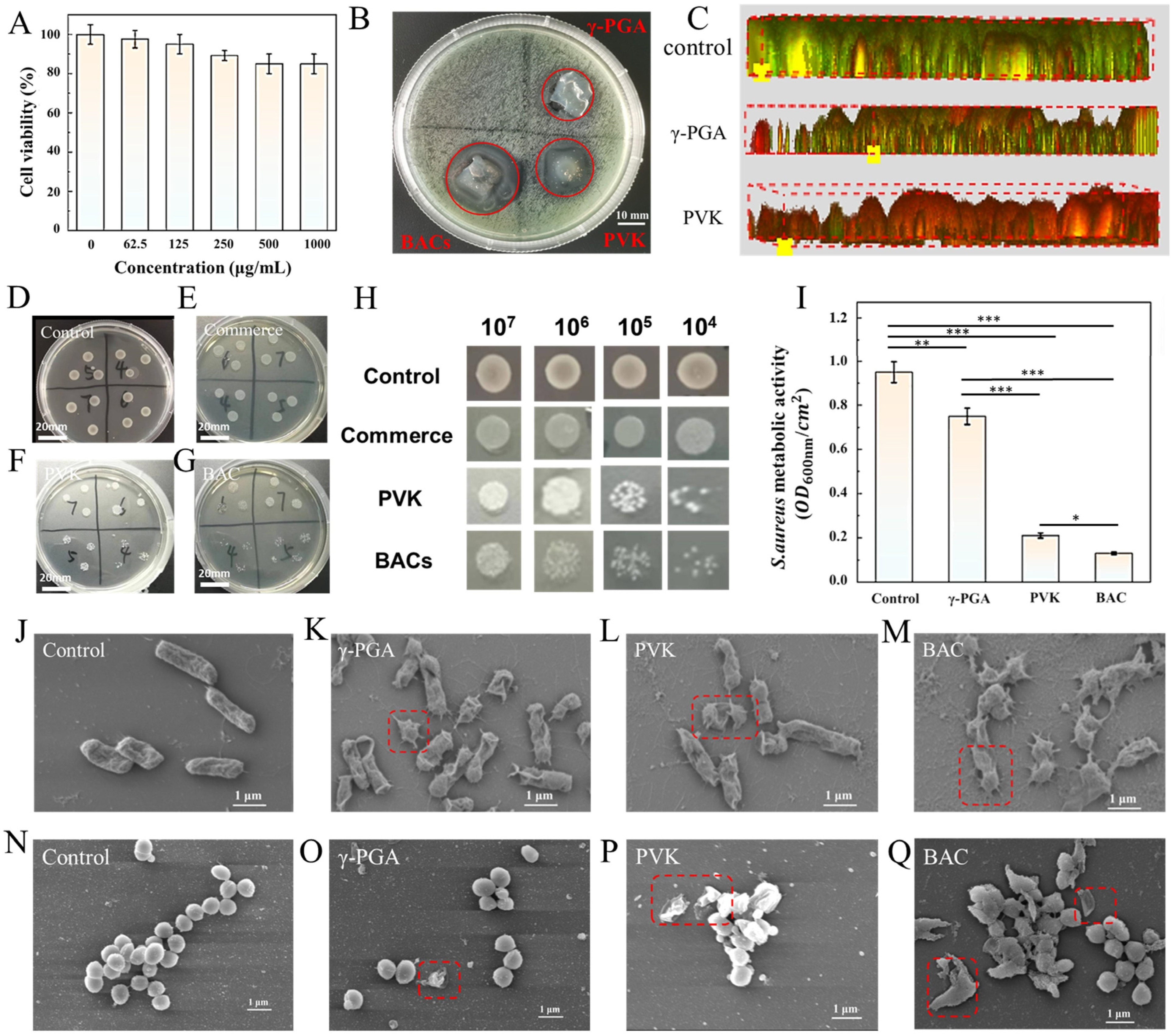 Molecules 30 04205 g005