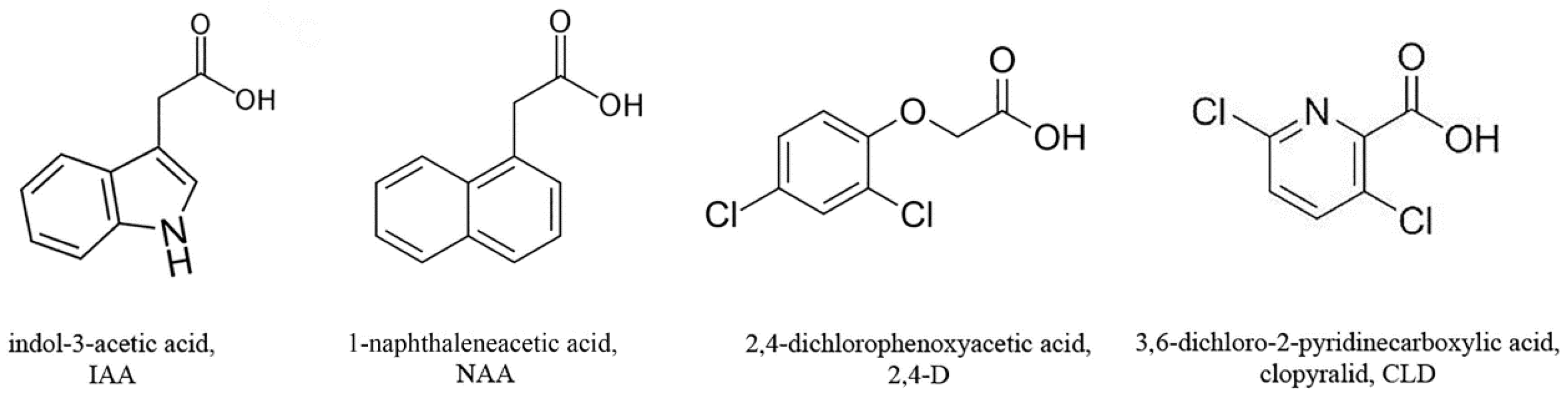 Molecules 30 04208 g001