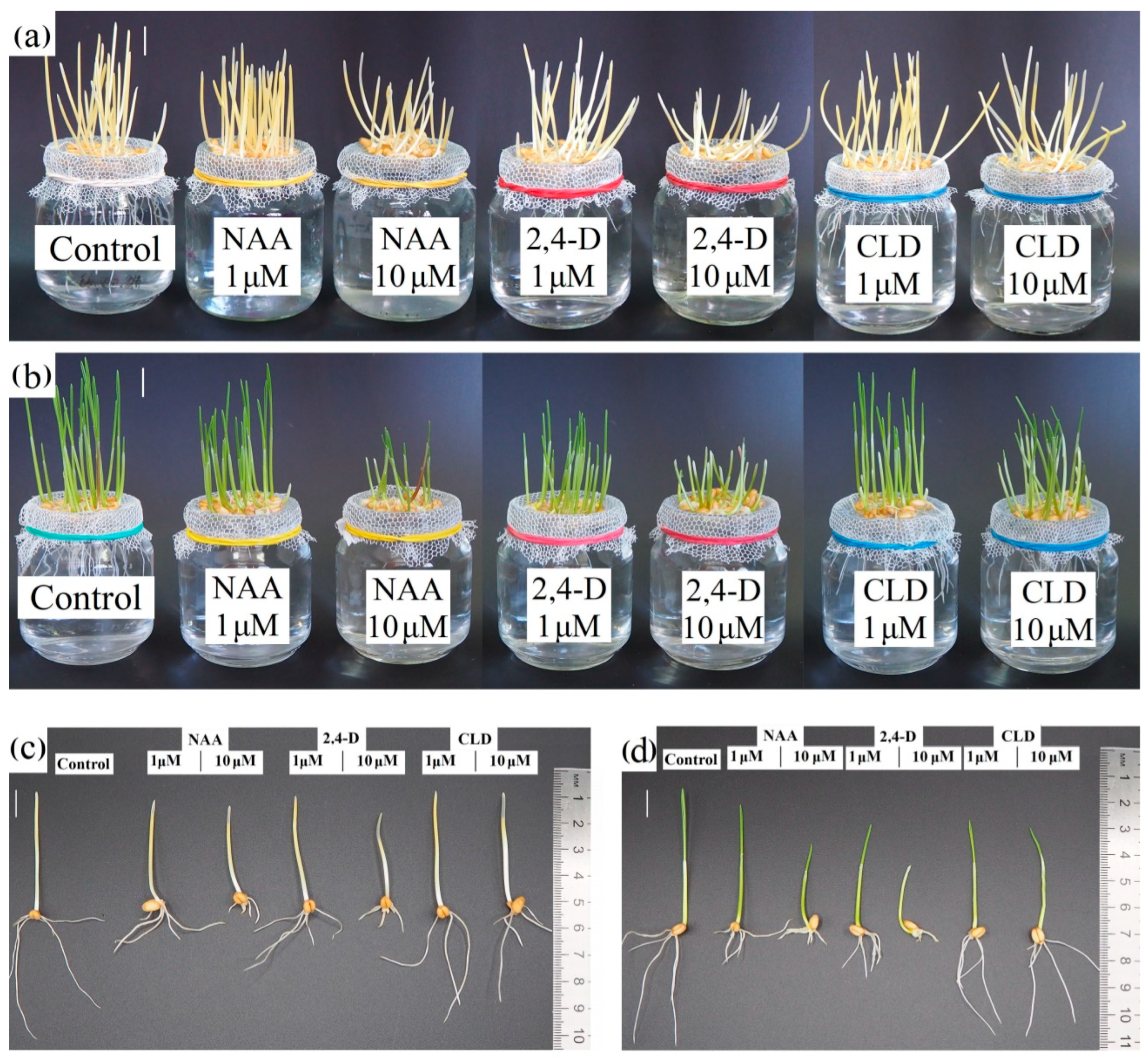 Molecules 30 04208 g002