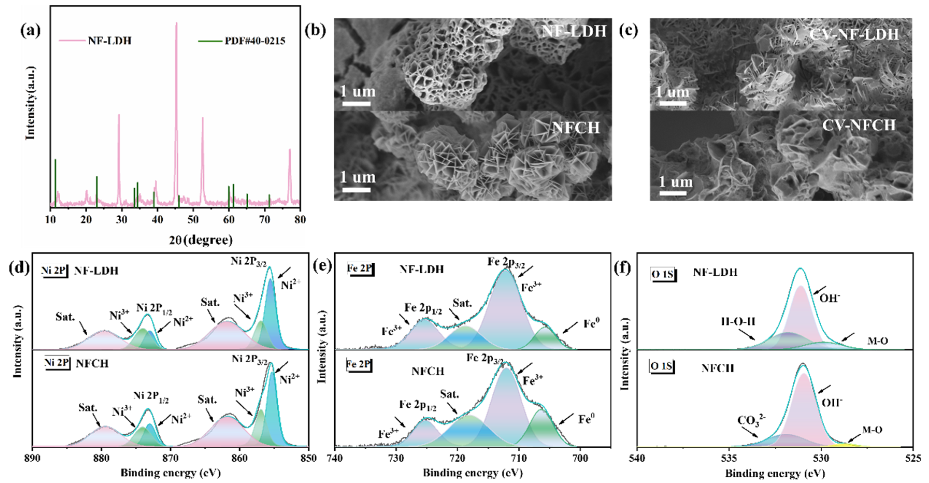 Molecules 30 04209 g002
