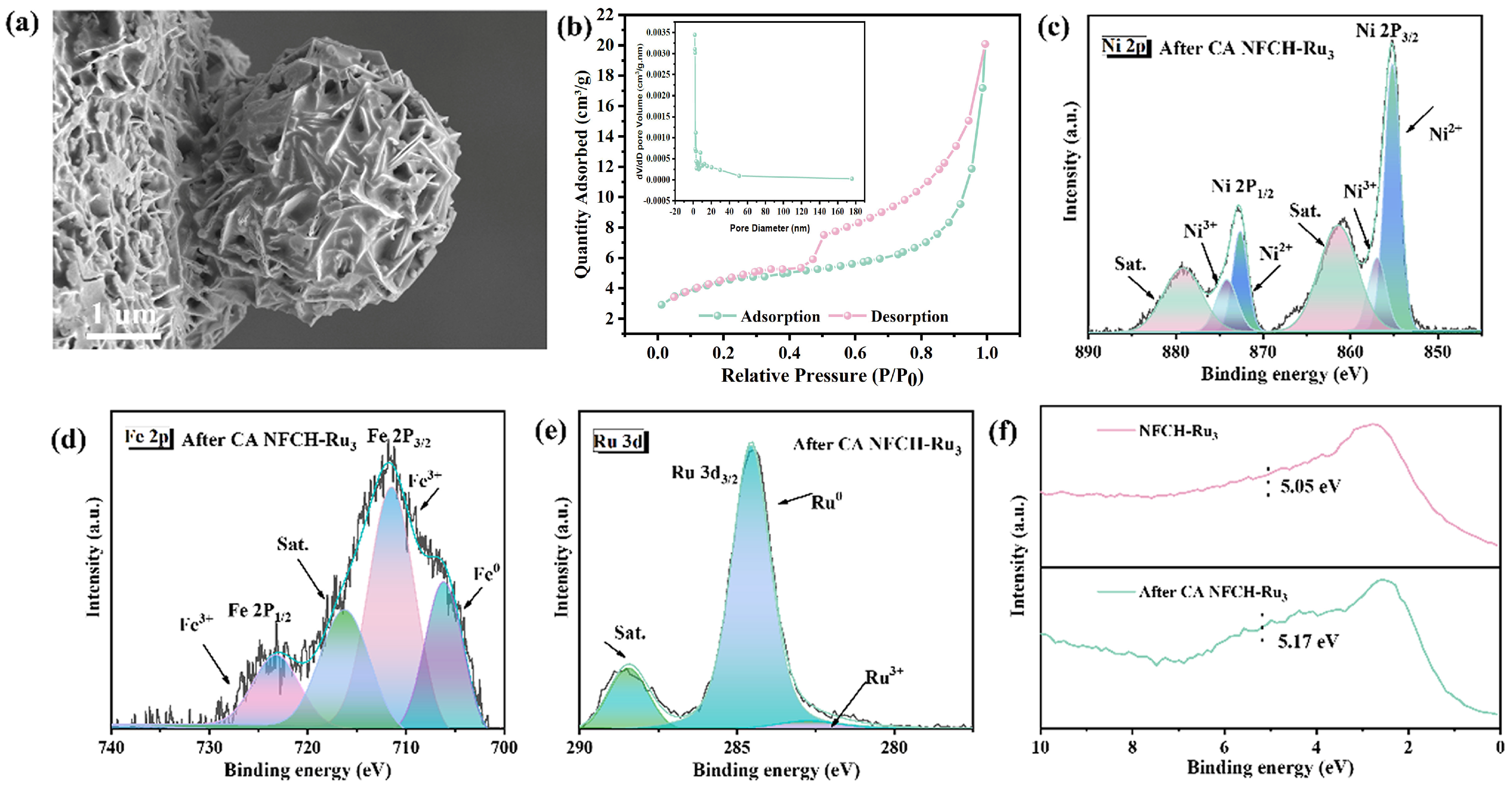 Molecules 30 04209 g006