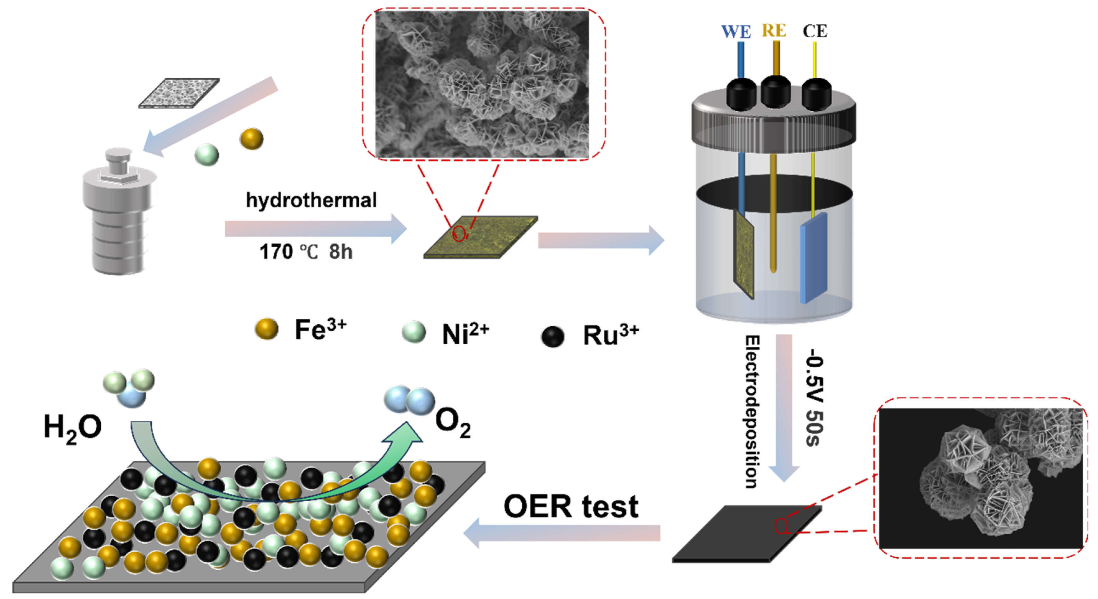 Molecules 30 04209 g007