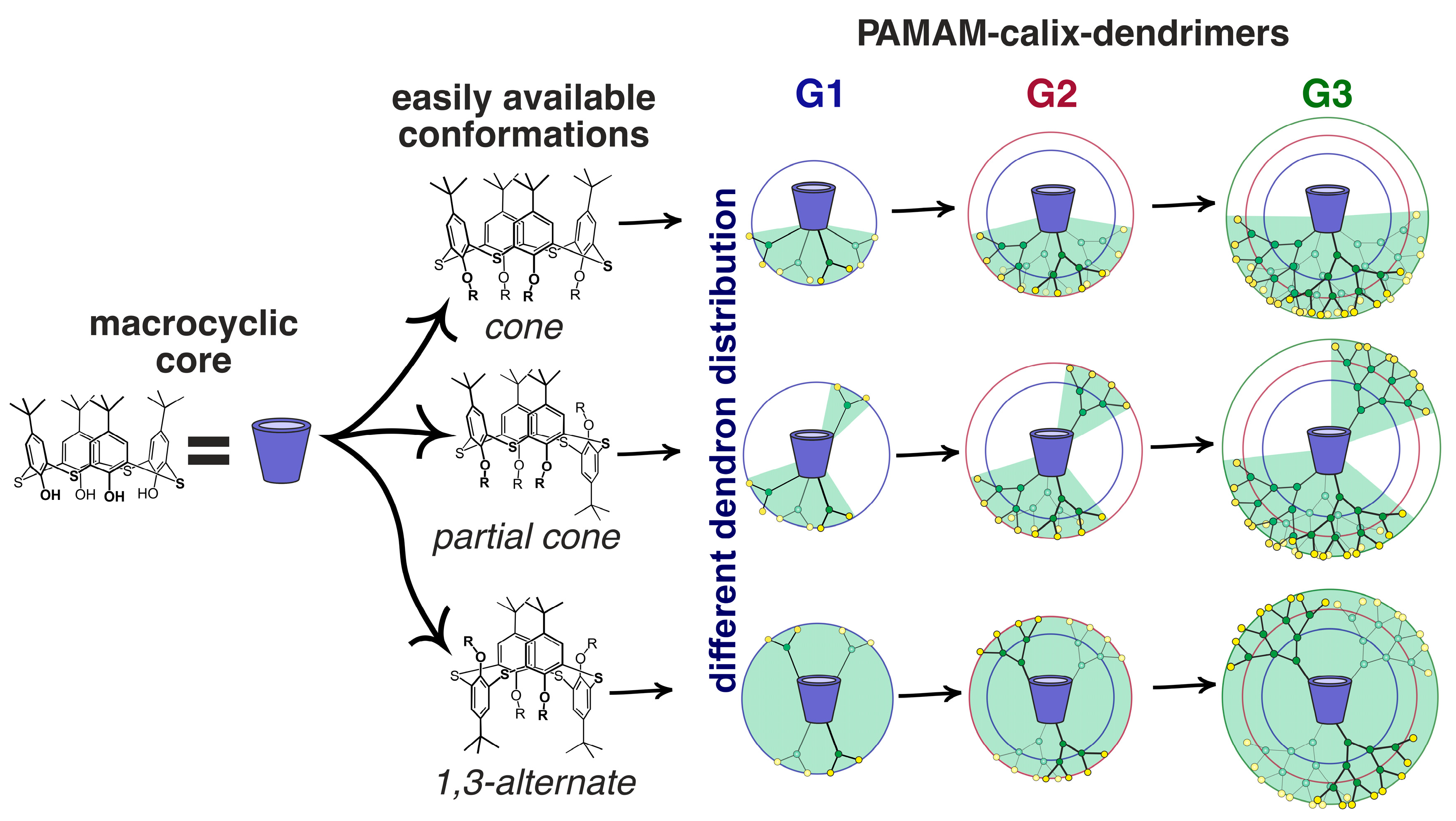 Molecules 30 04211 g007