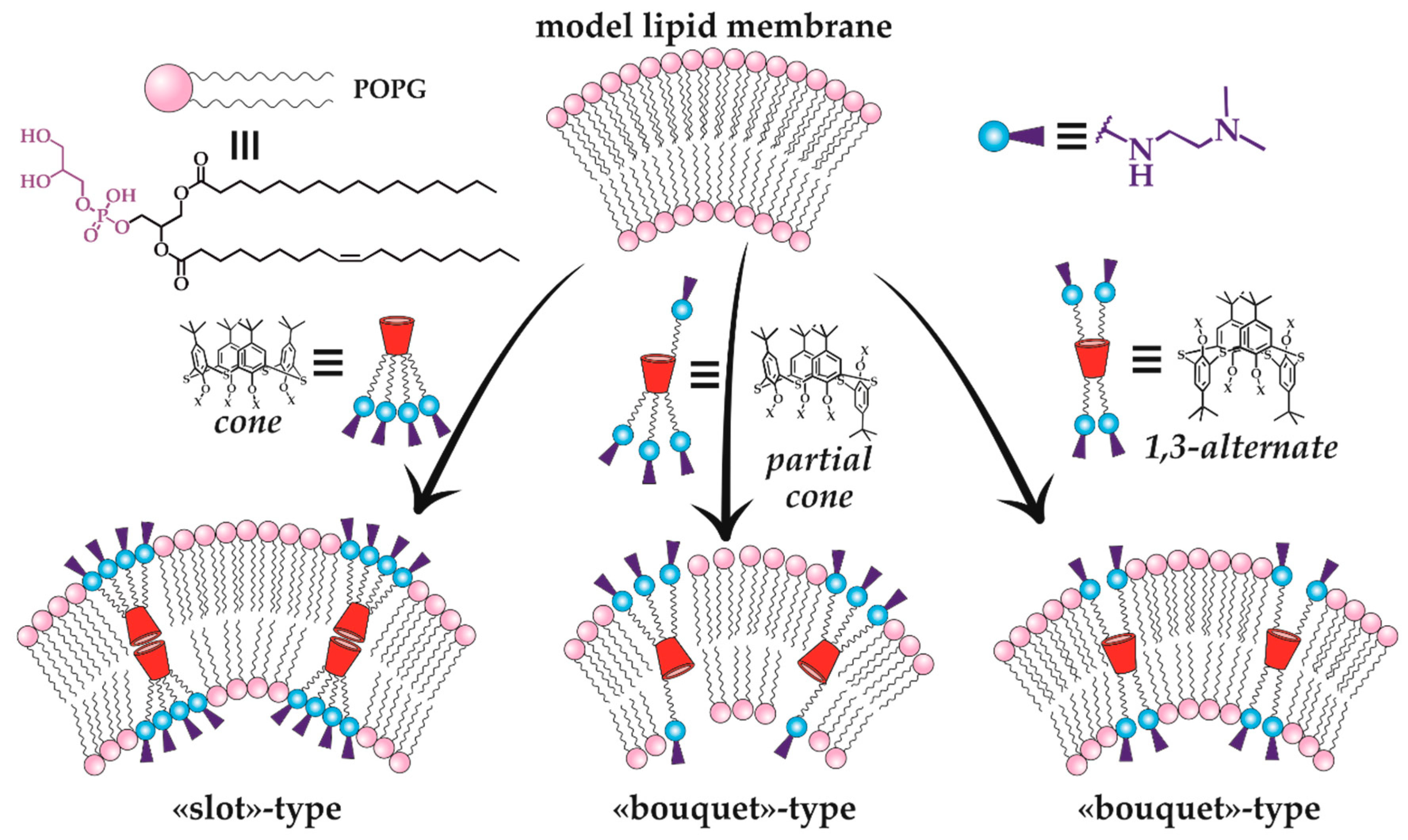 Molecules 30 04211 g015