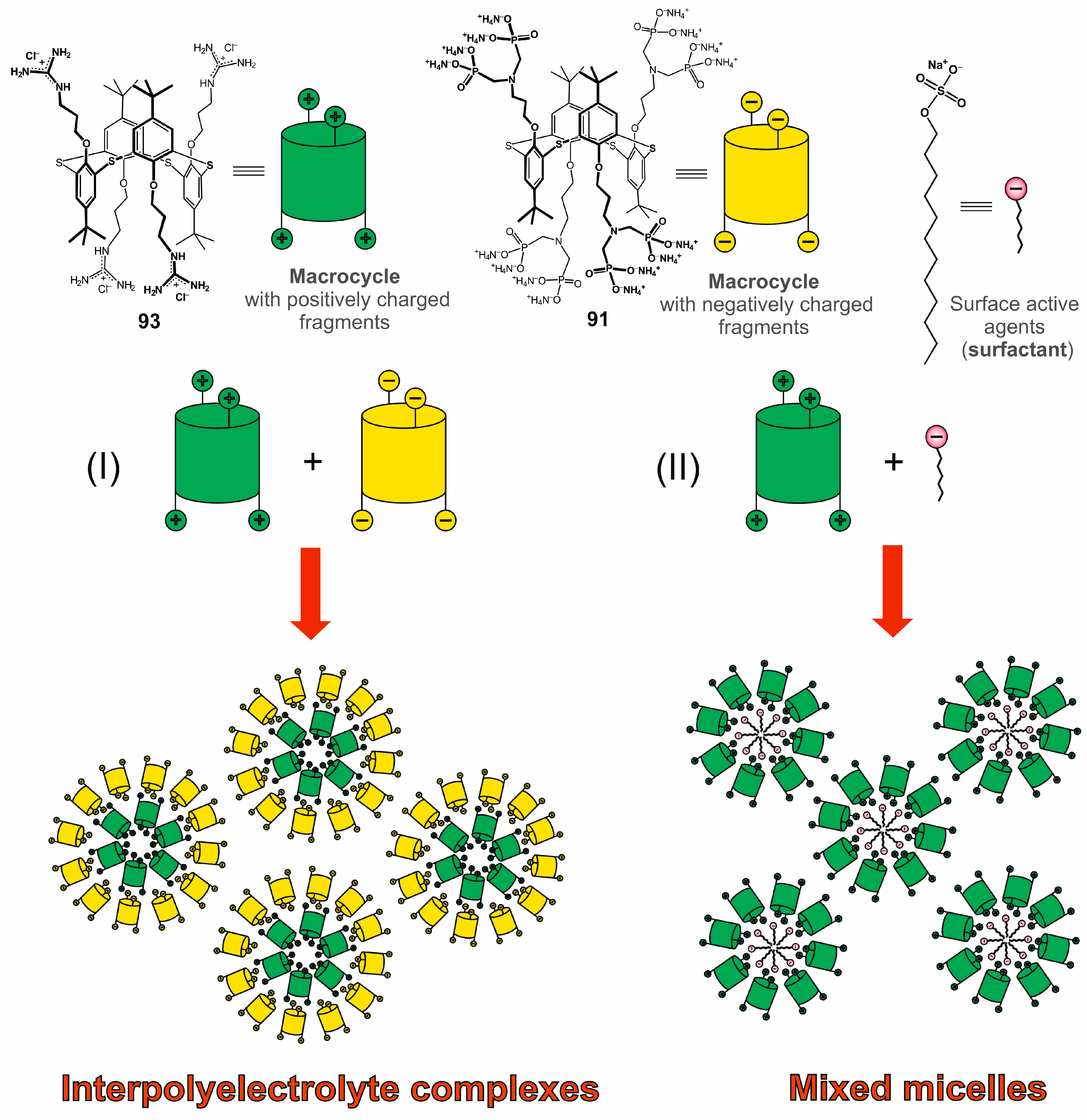 Molecules 30 04211 g017