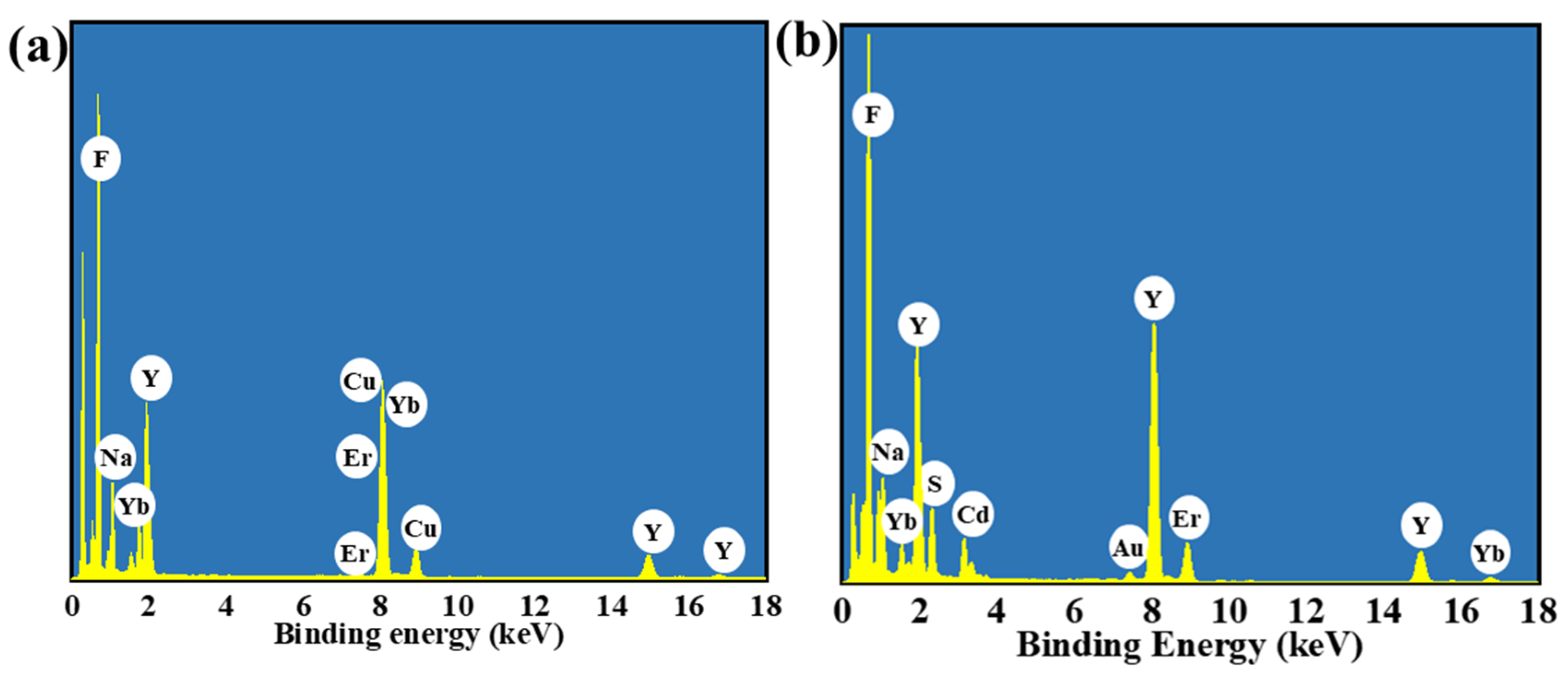Molecules 30 04215 g004