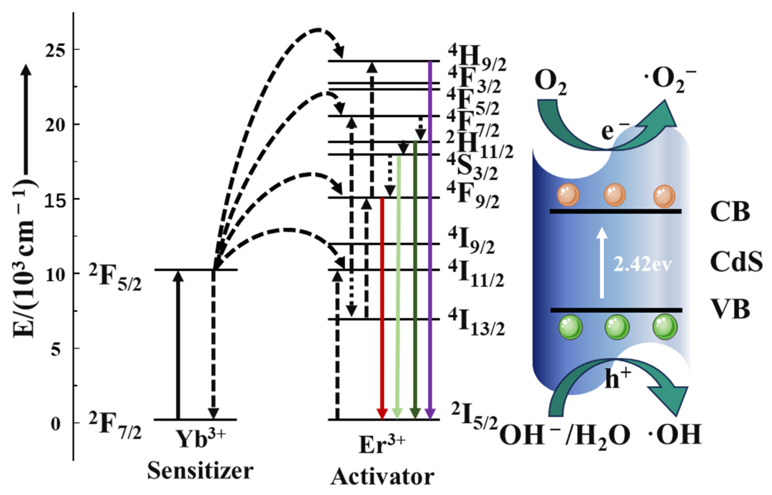 Molecules 30 04215 g009