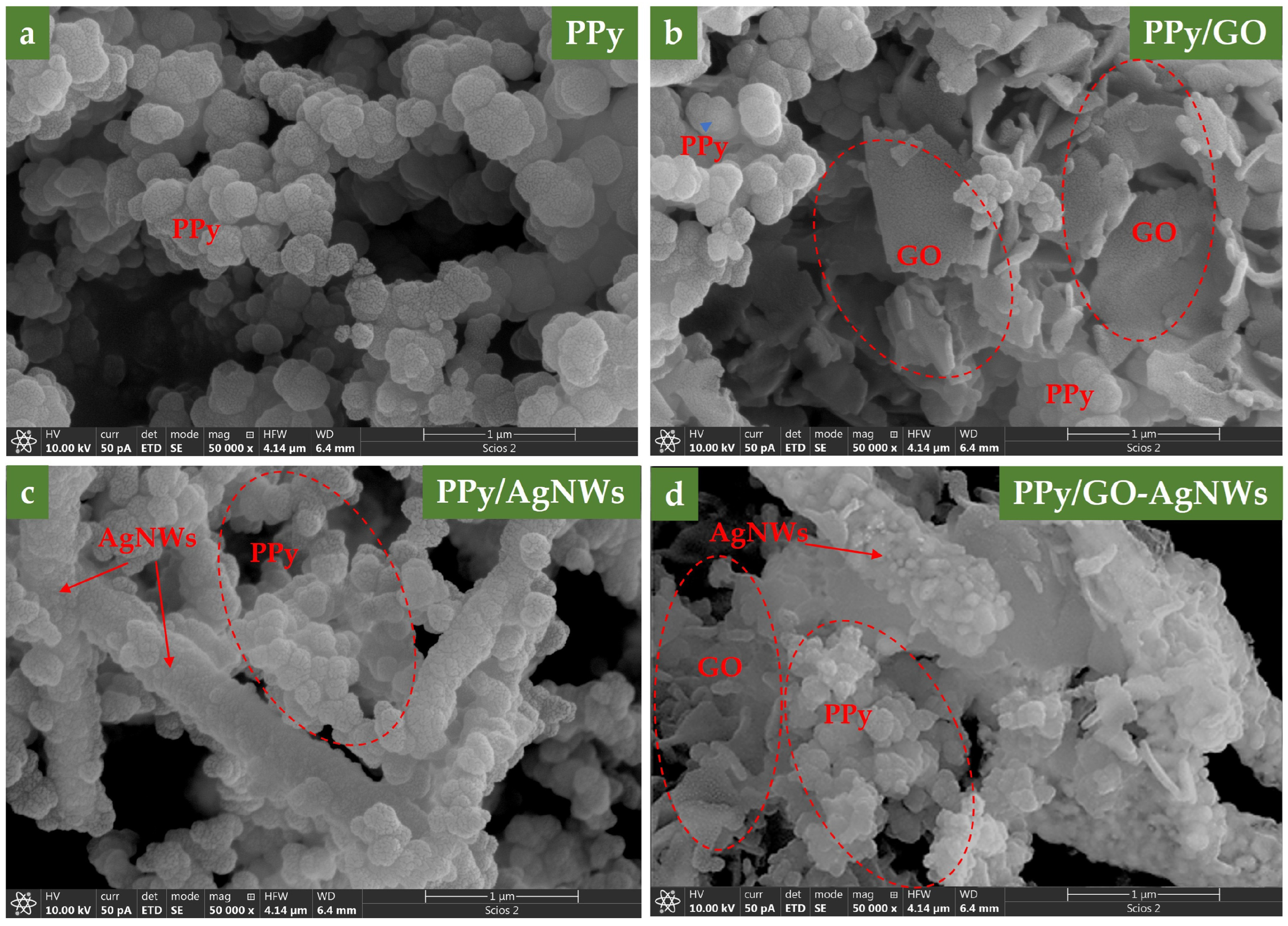 Molecules 30 04221 g001 Molecules 30 04221 g001