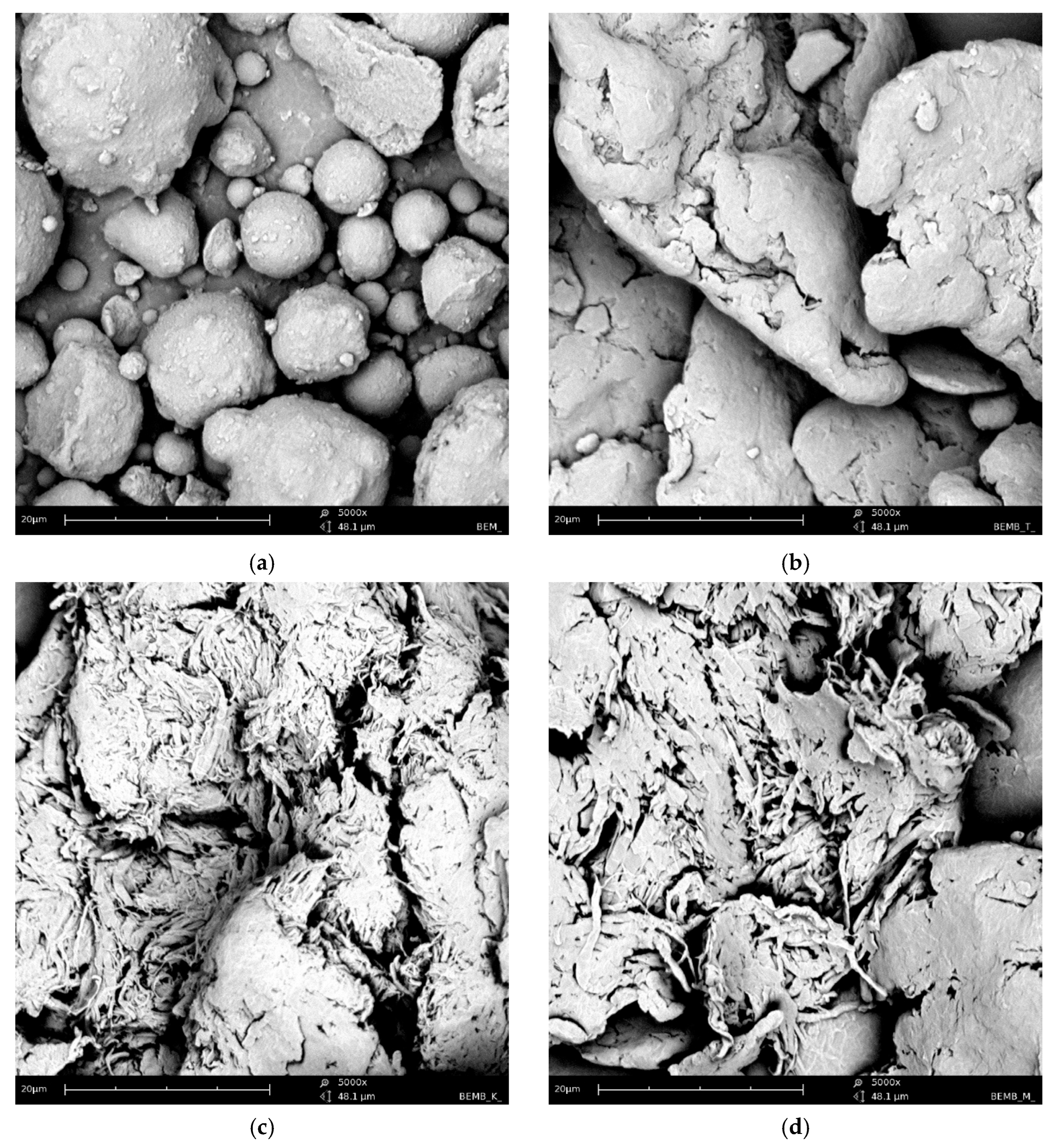 Molecules 30 04222 g002