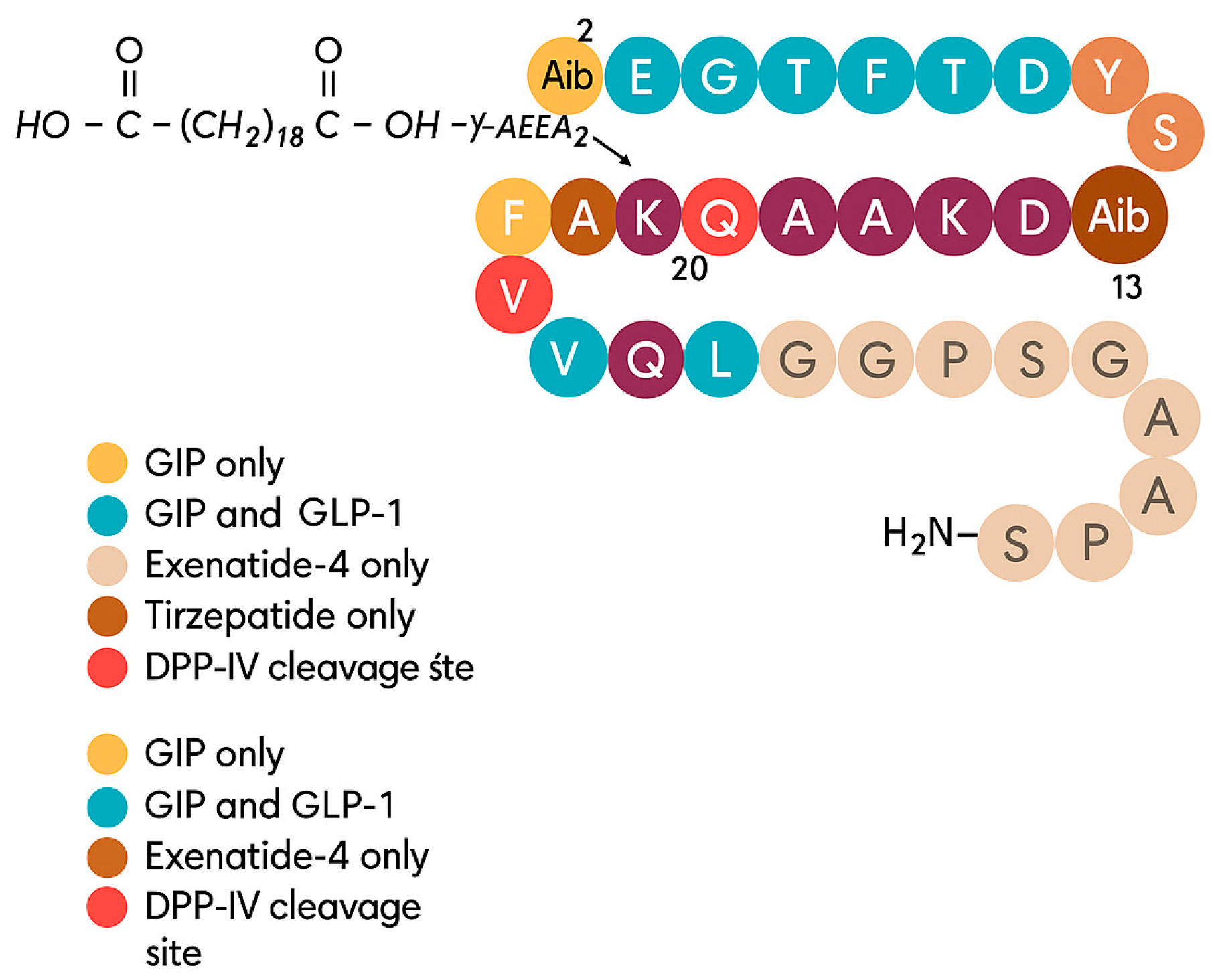 Molecules 30 04240 g004