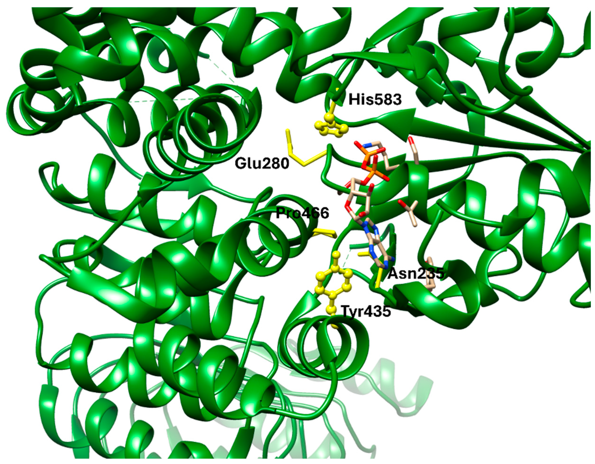 Molecules 30 04240 g009