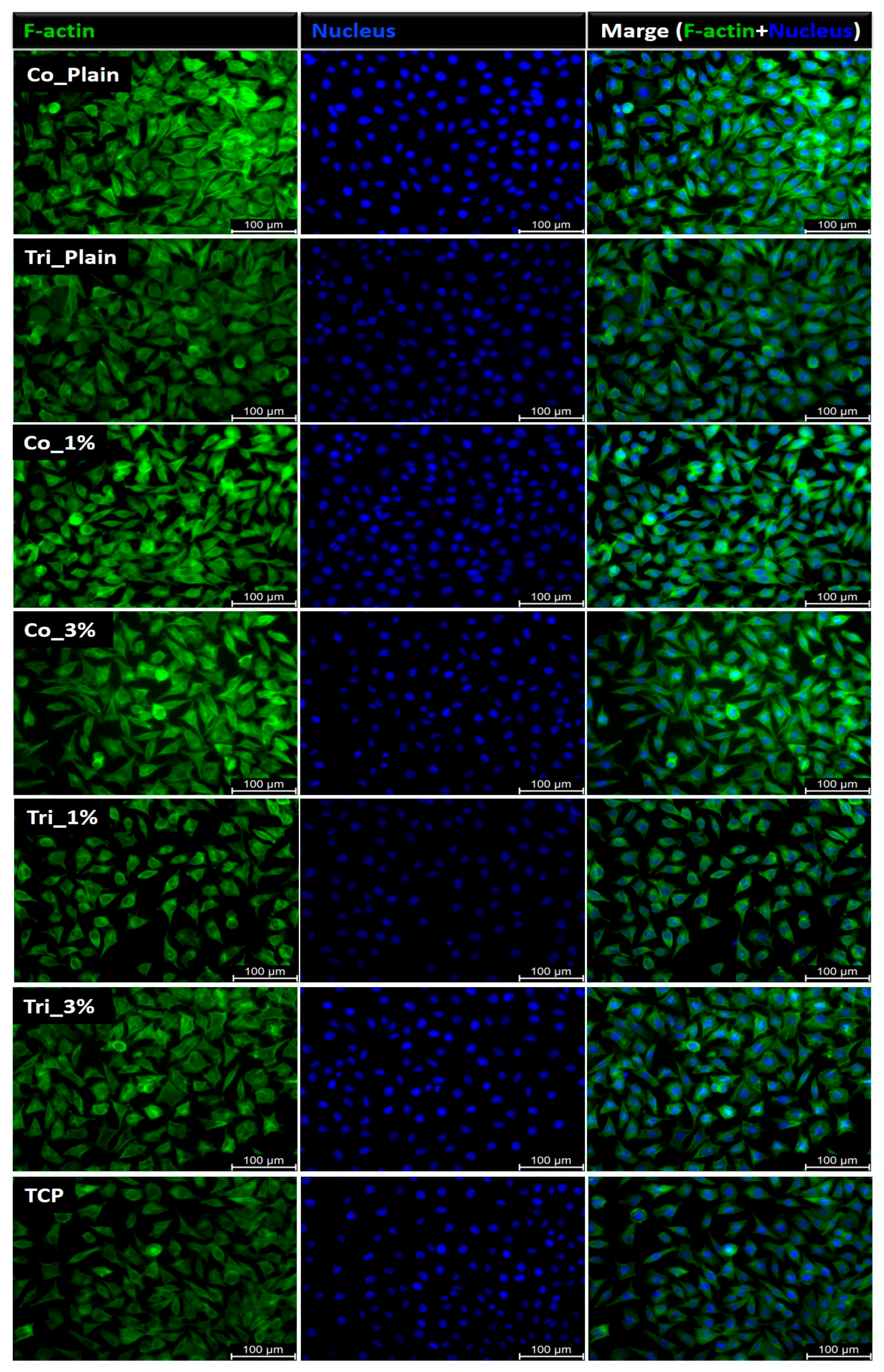 Molecules 30 04241 g007