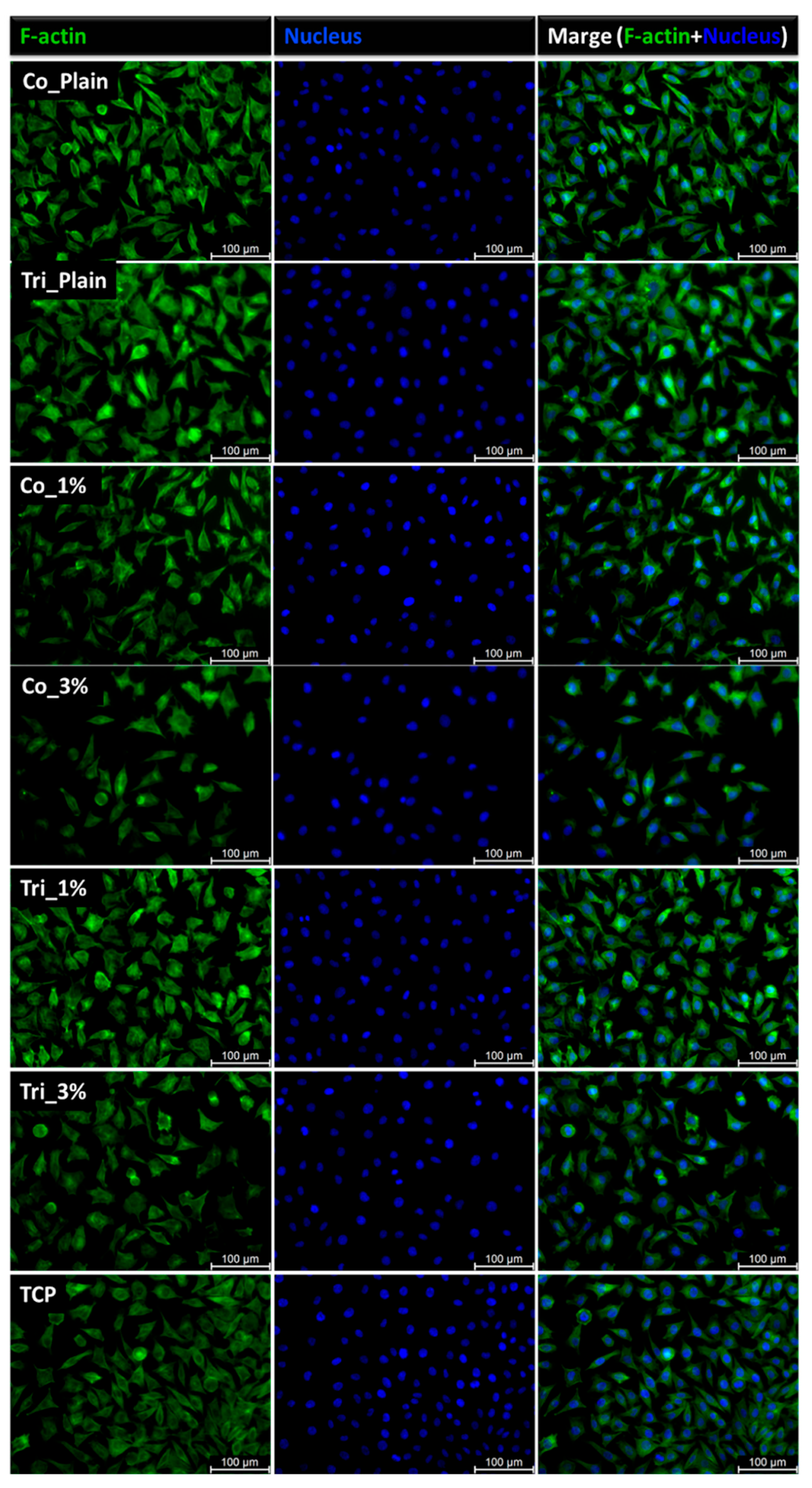 Molecules 30 04241 g008