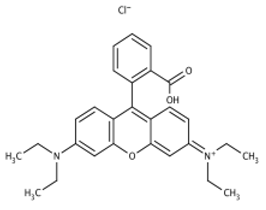 Molecules 30 04242 i001