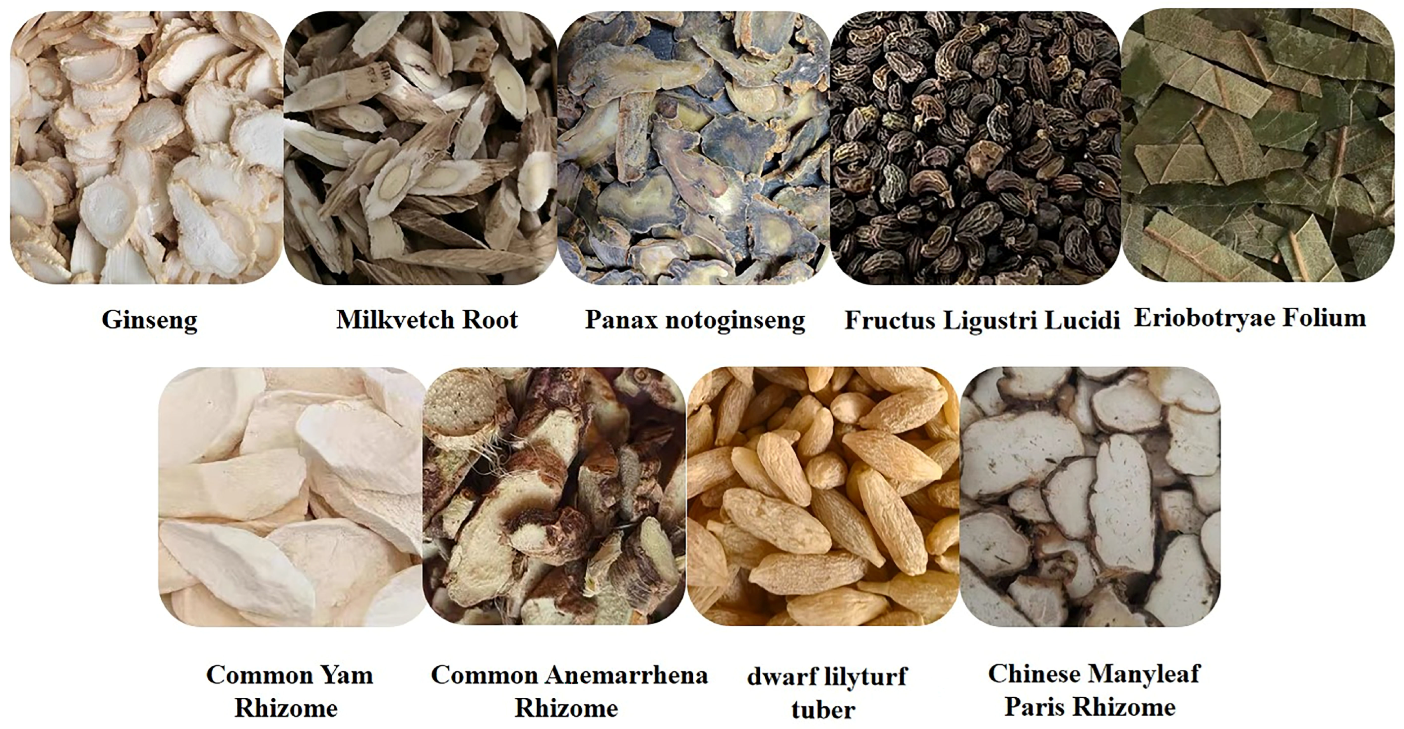 Molecules 30 04247 g001