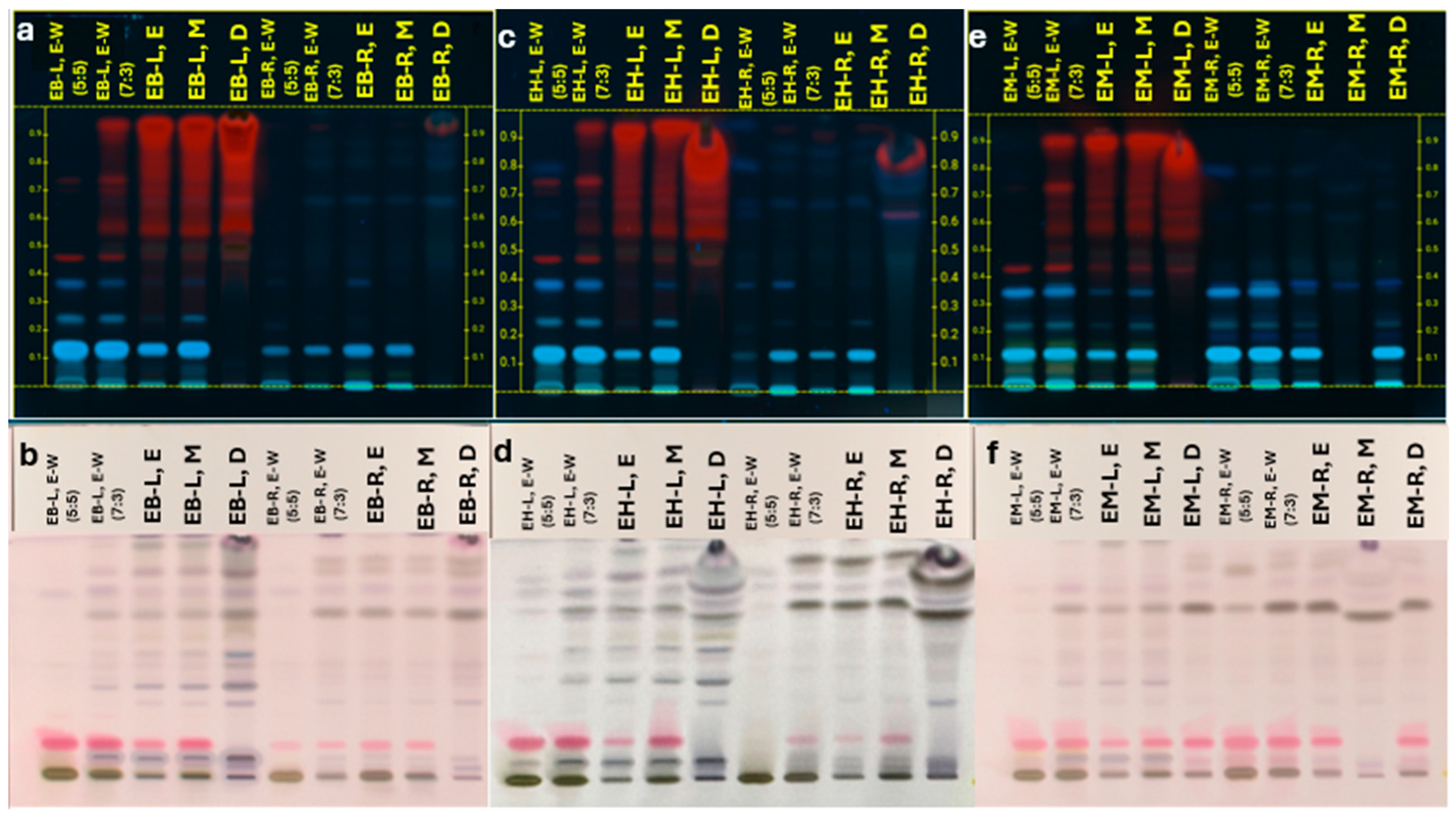 Molecules 30 04250 g001 Molecules 30 04250 g001