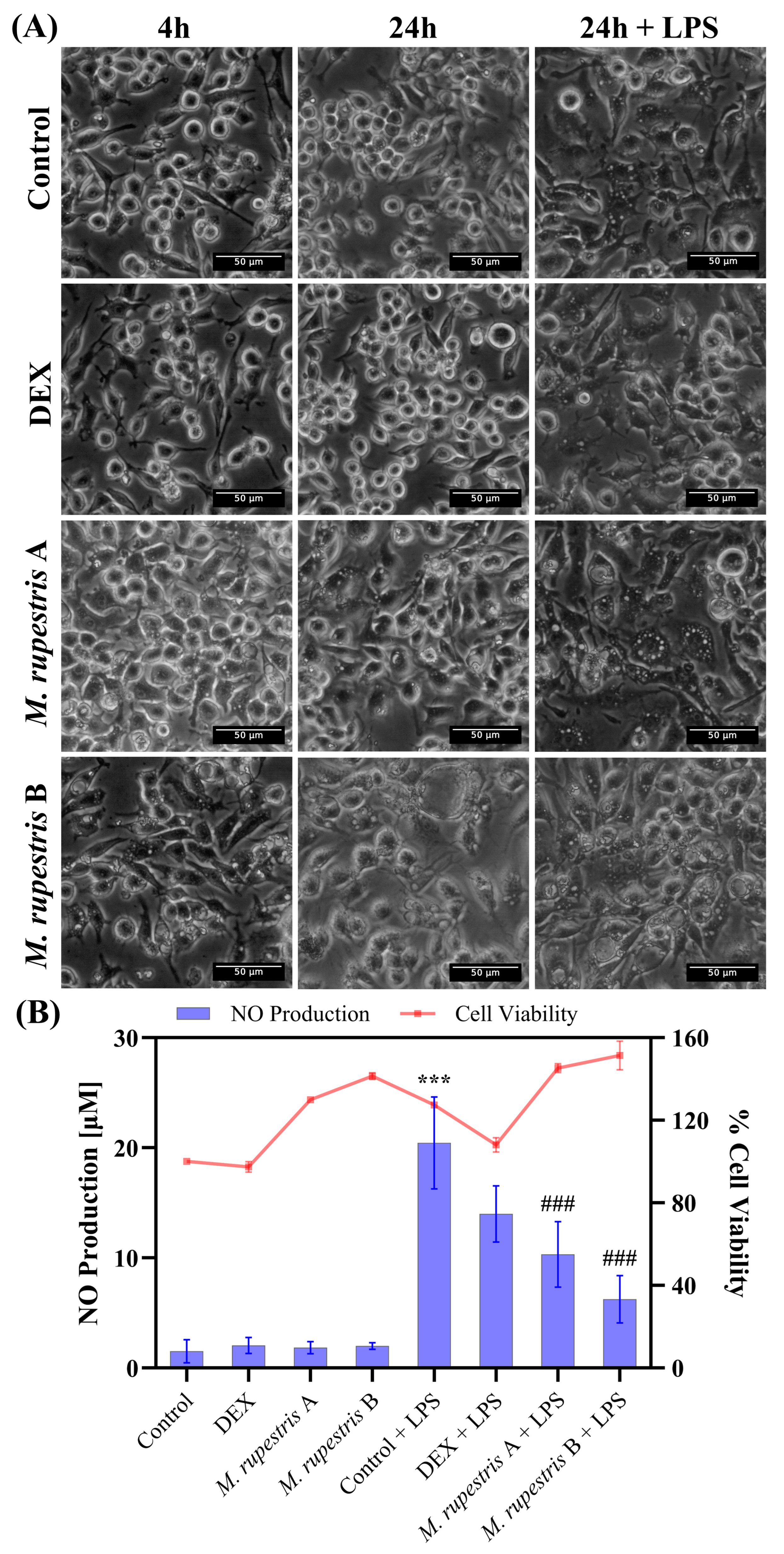 Molecules 30 04251 g002 Molecules 30 04251 g002