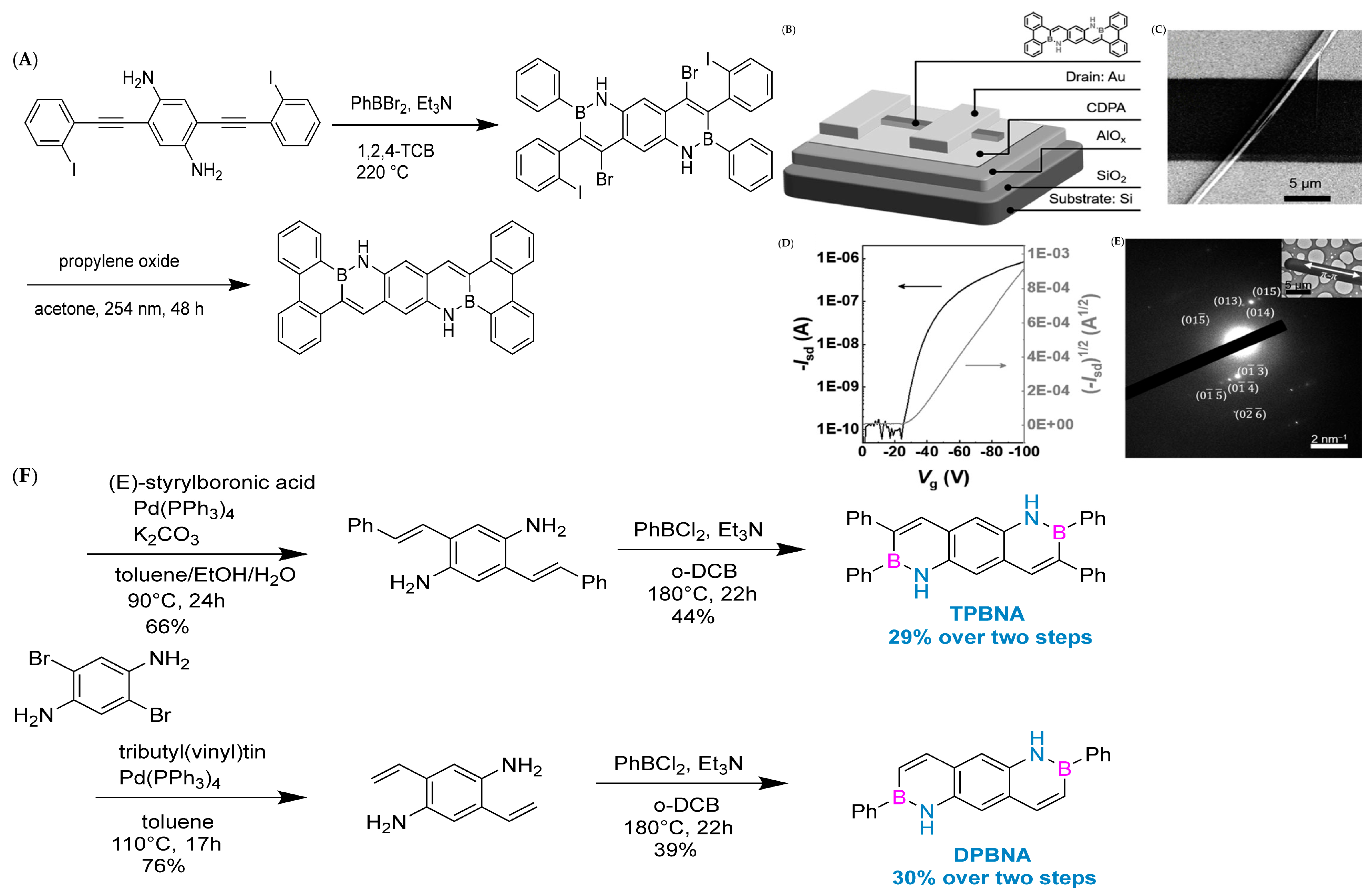 Molecules 30 04252 g007 Molecules 30 04252 g007