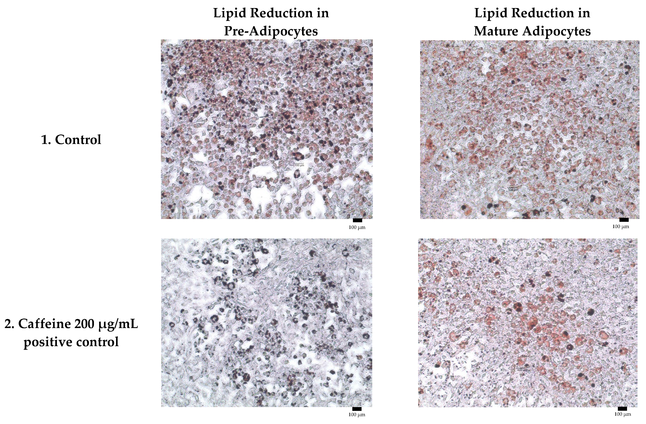 Molecules 30 04256 g004a