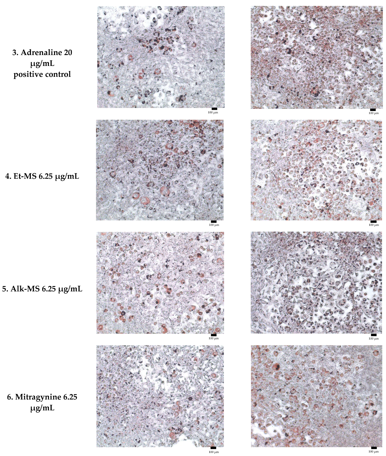 Molecules 30 04256 g004b