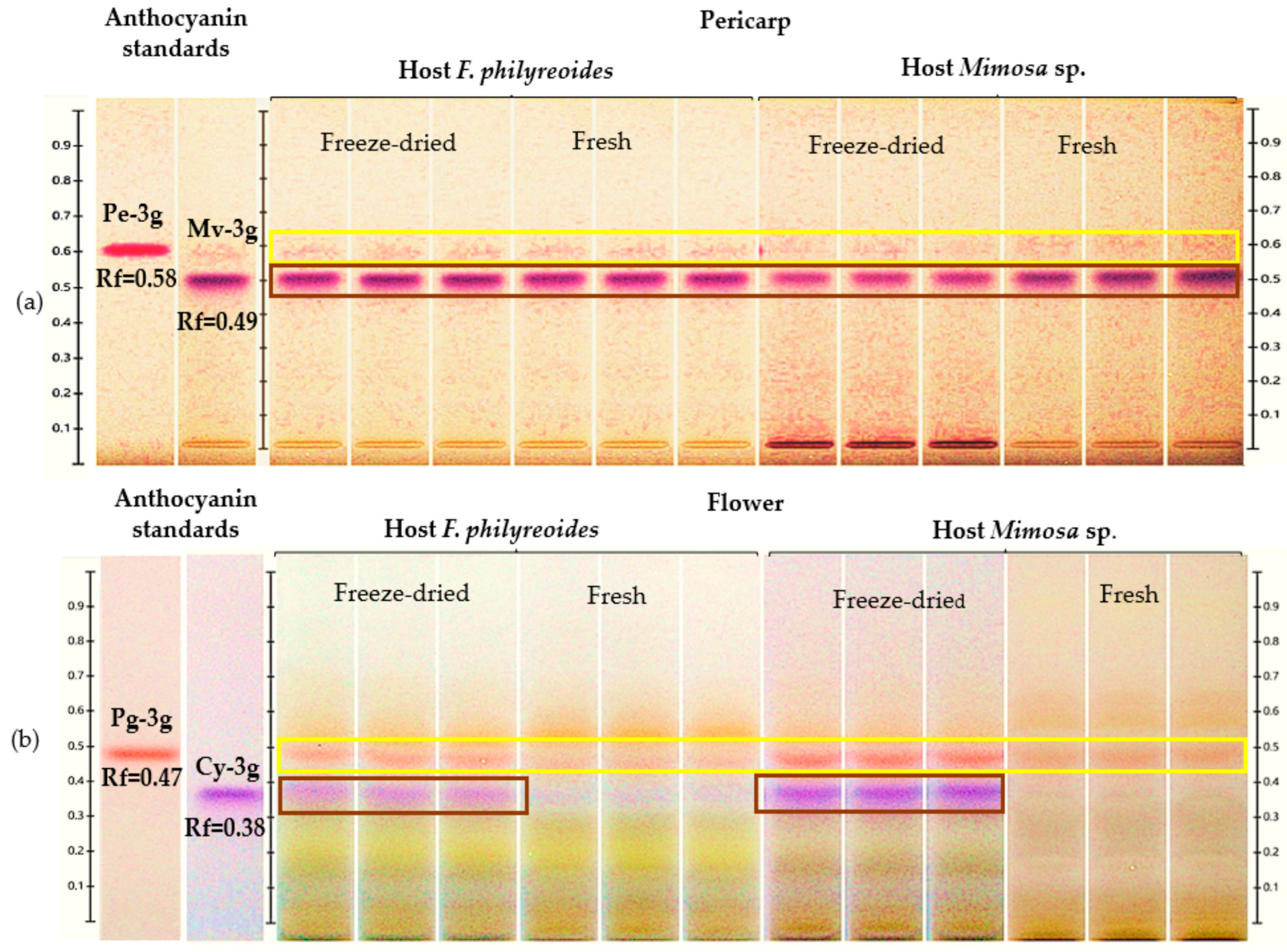 Molecules 30 04257 g001
