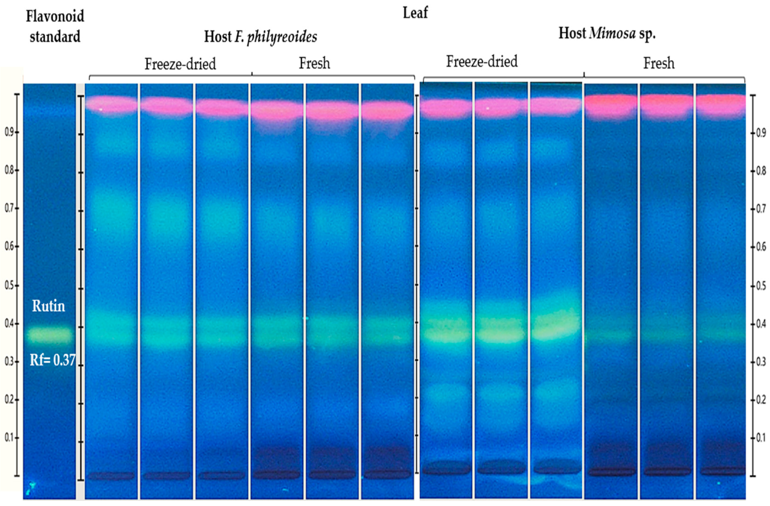 Molecules 30 04257 g002