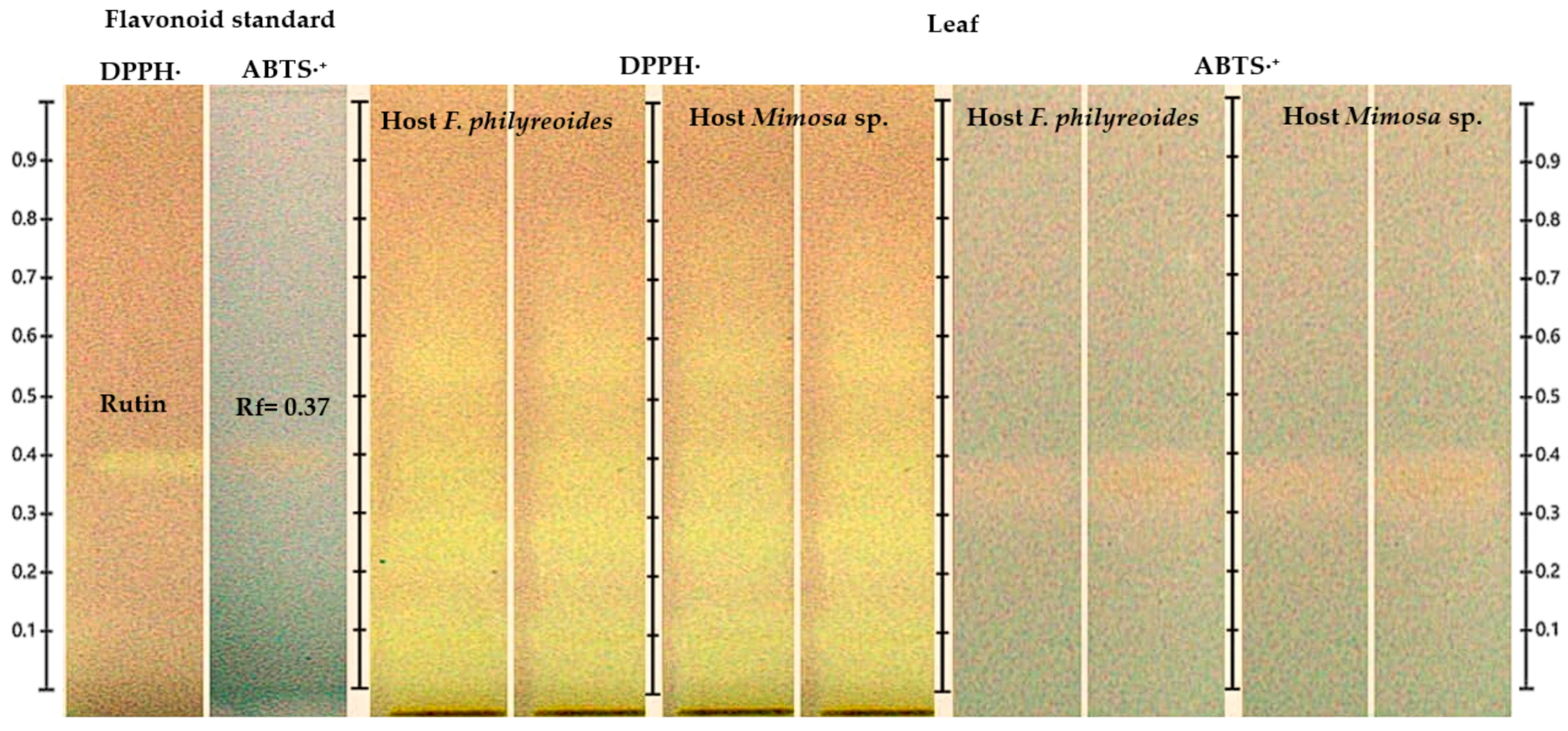 Molecules 30 04257 g004
