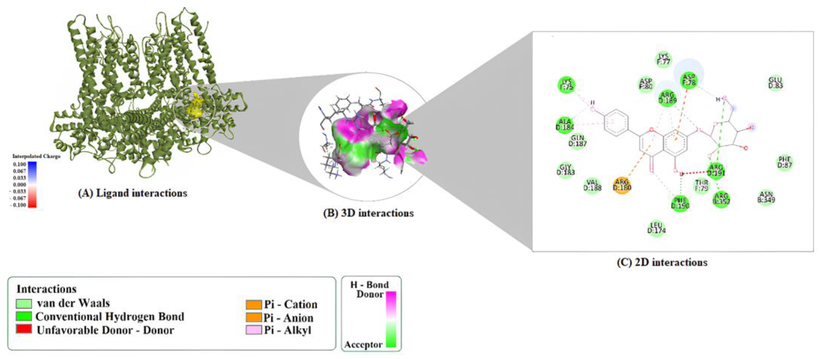 Molecules 30 04265 g002 Molecules 30 04265 g002