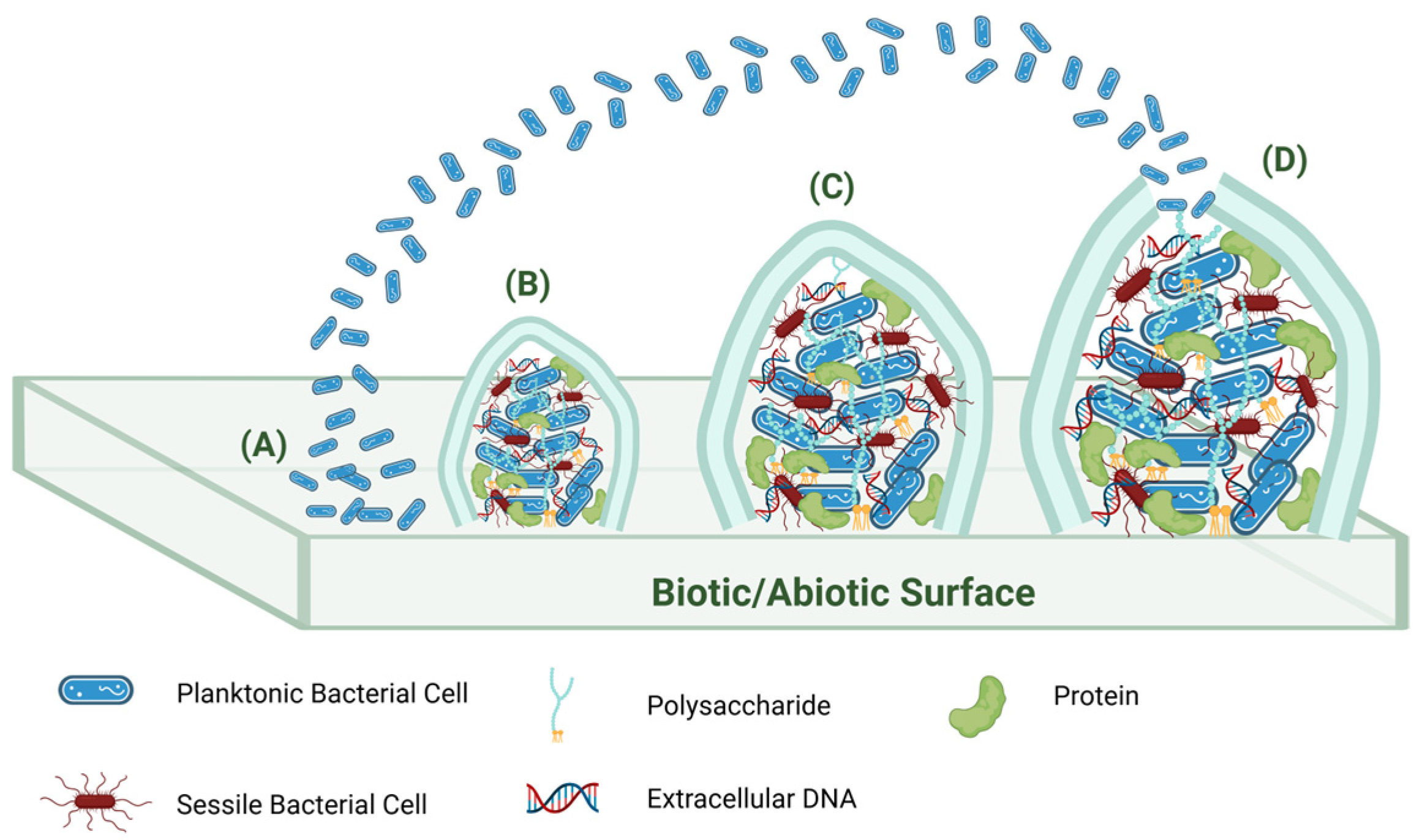 Molecules 30 04266 g001