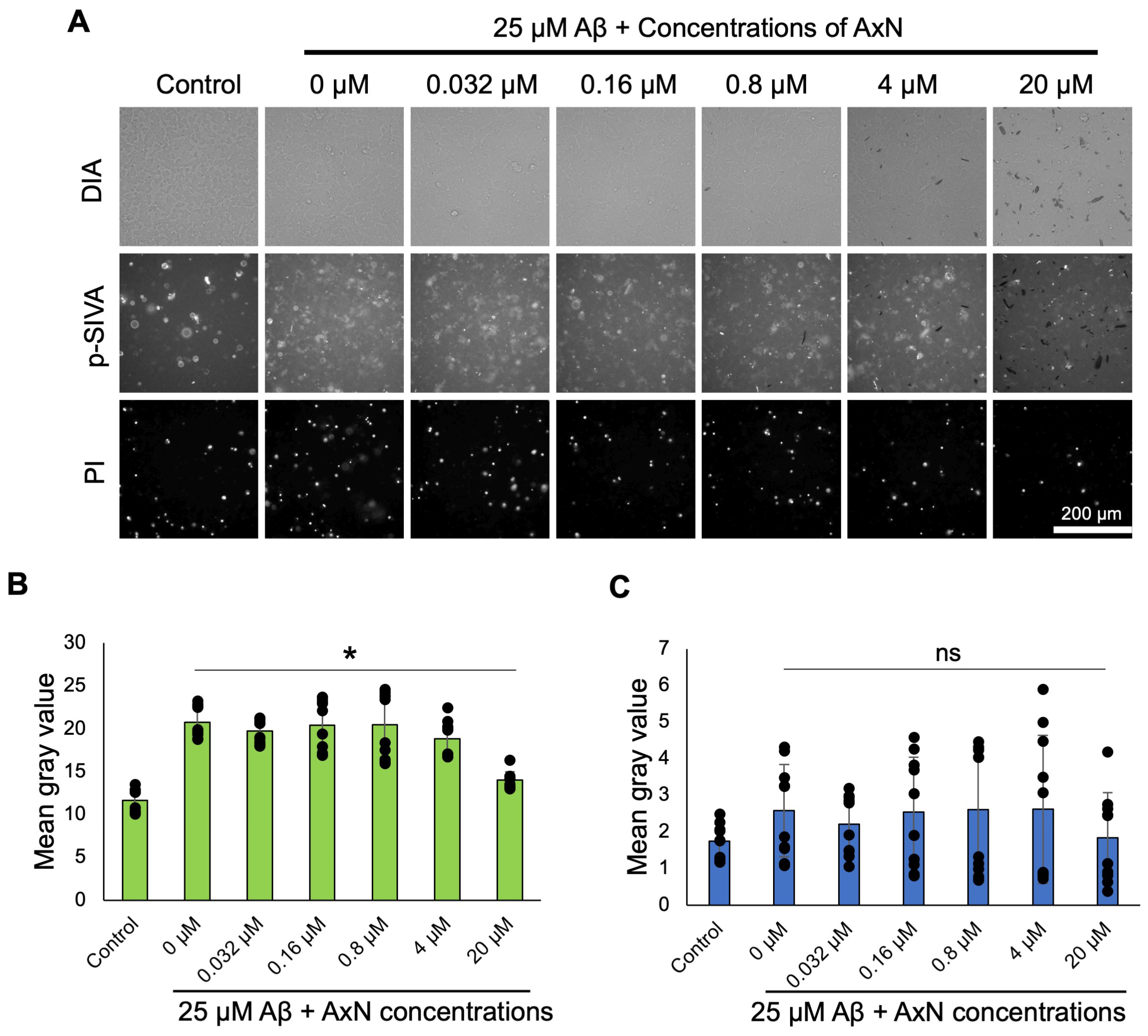 Molecules 30 04271 g004 Molecules 30 04271 g004