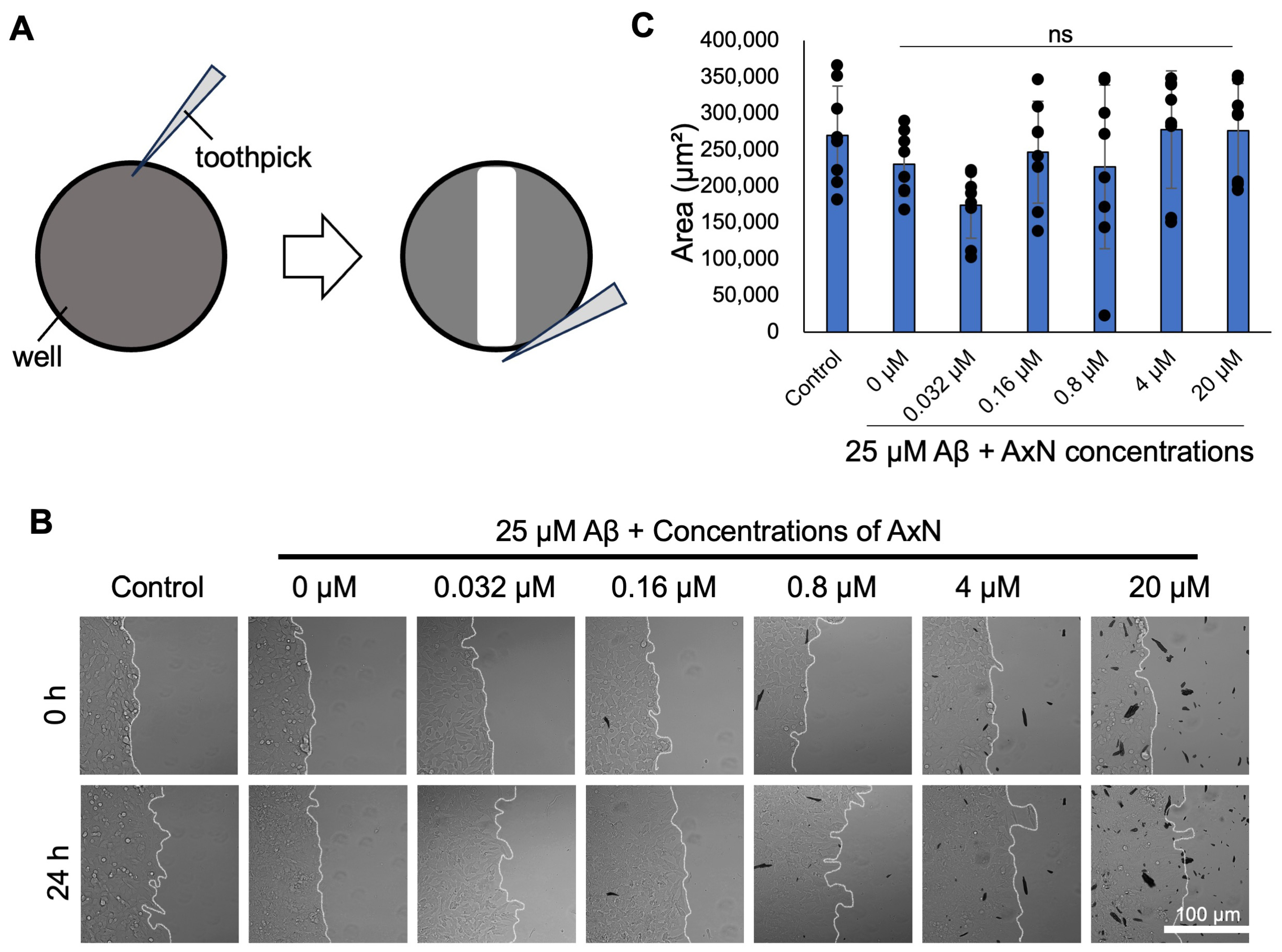 Molecules 30 04271 g005 Molecules 30 04271 g005