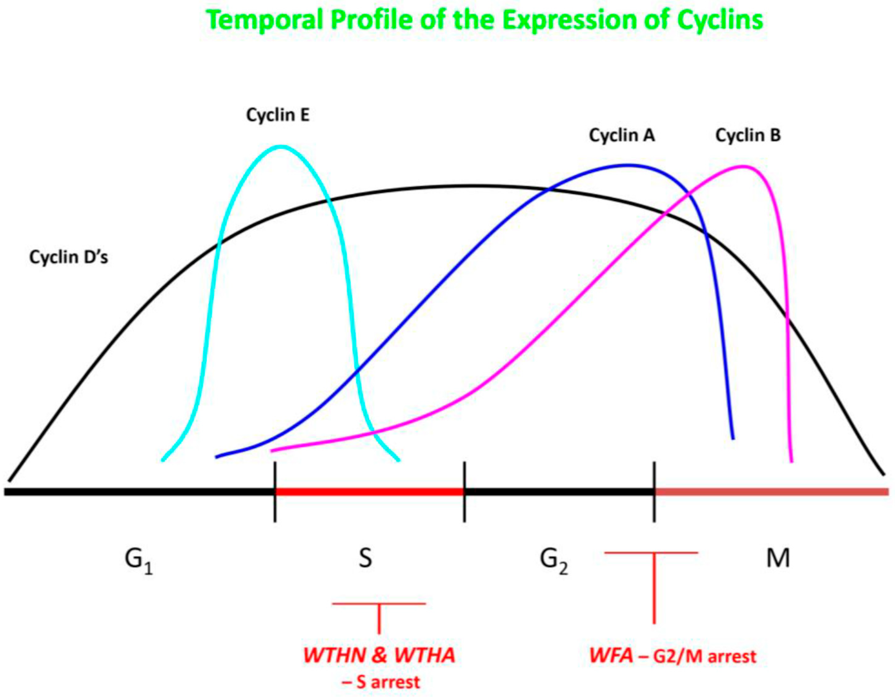 Molecules 30 04272 g004 Molecules 30 04272 g004