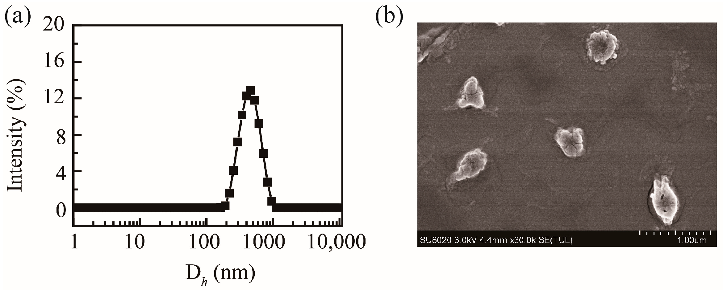 Molecules 30 04276 g003