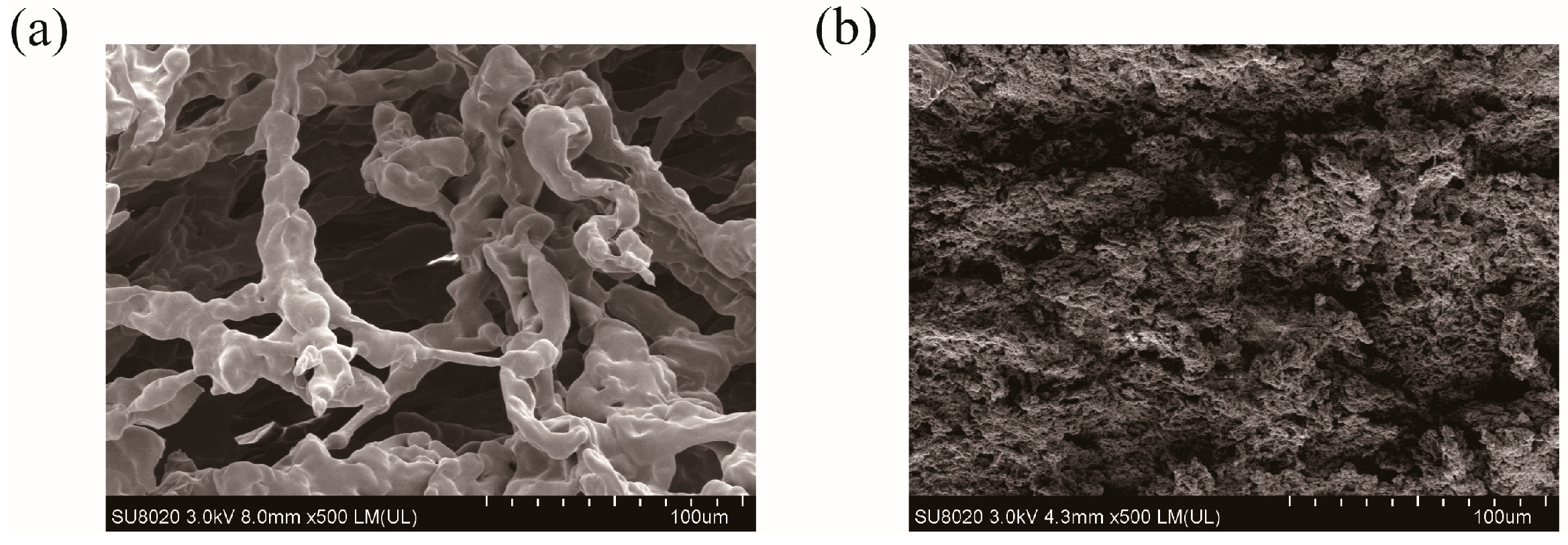 Molecules 30 04276 g007