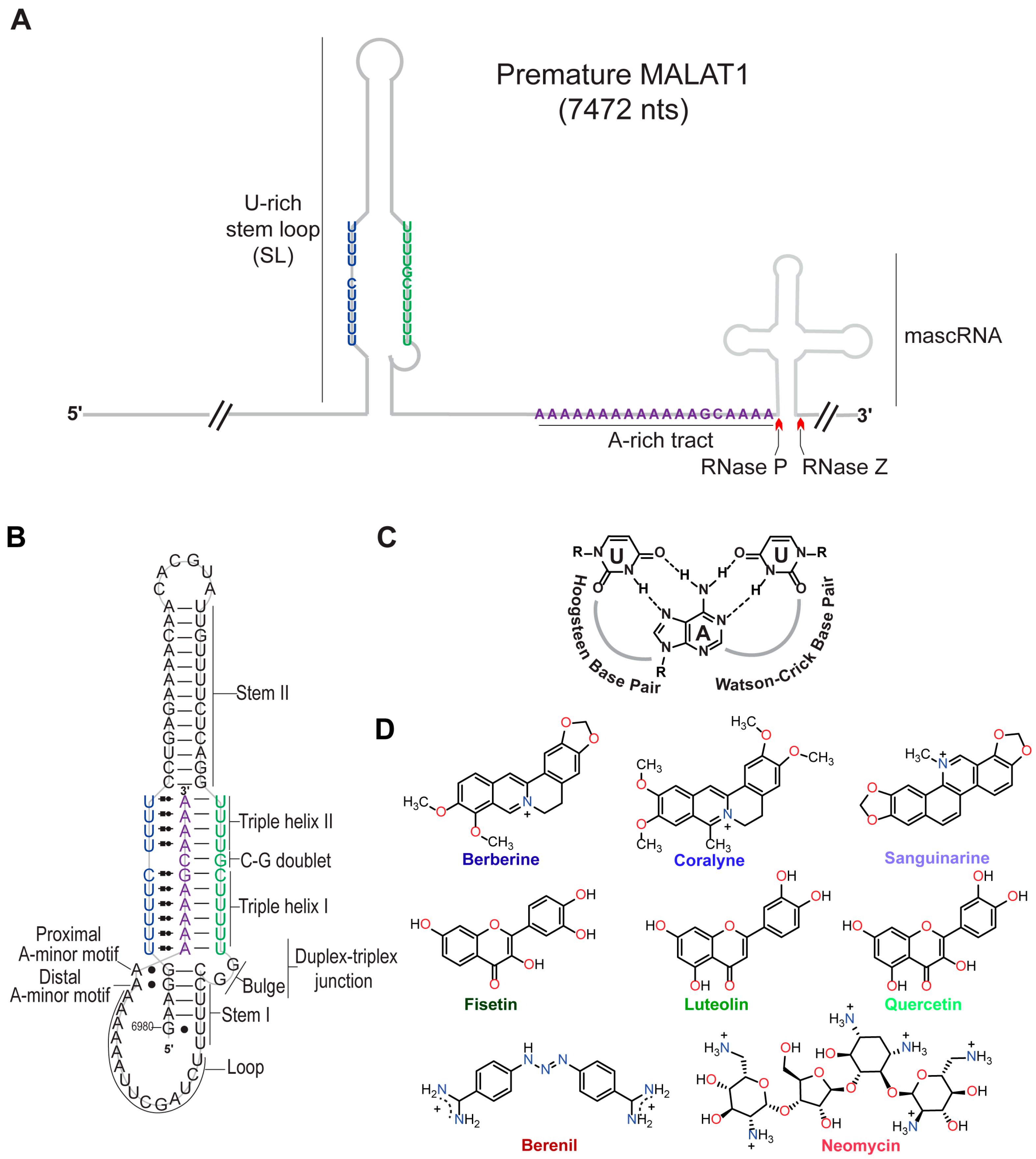 Molecules 30 04277 g001