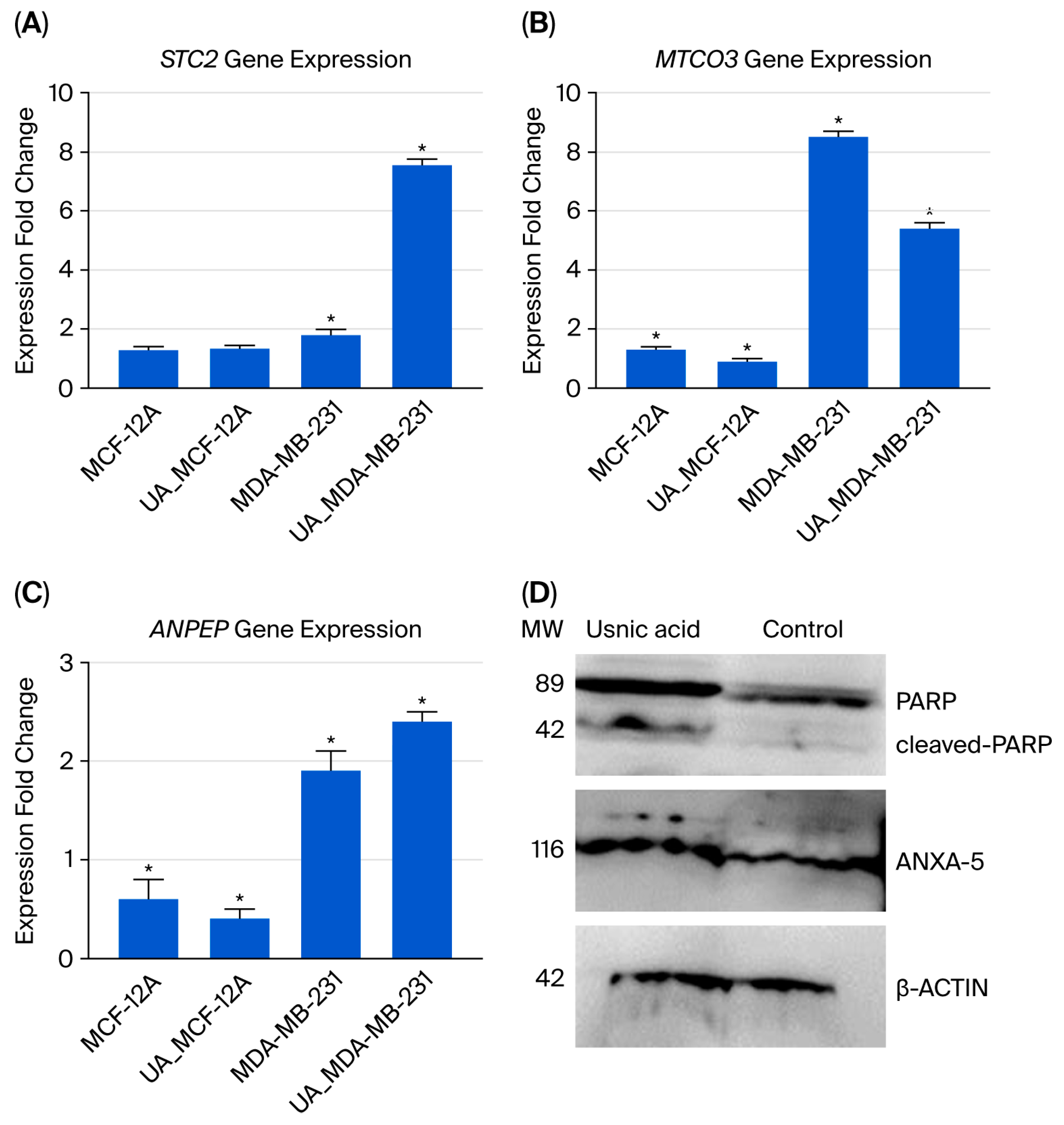 Molecules 30 04281 g004