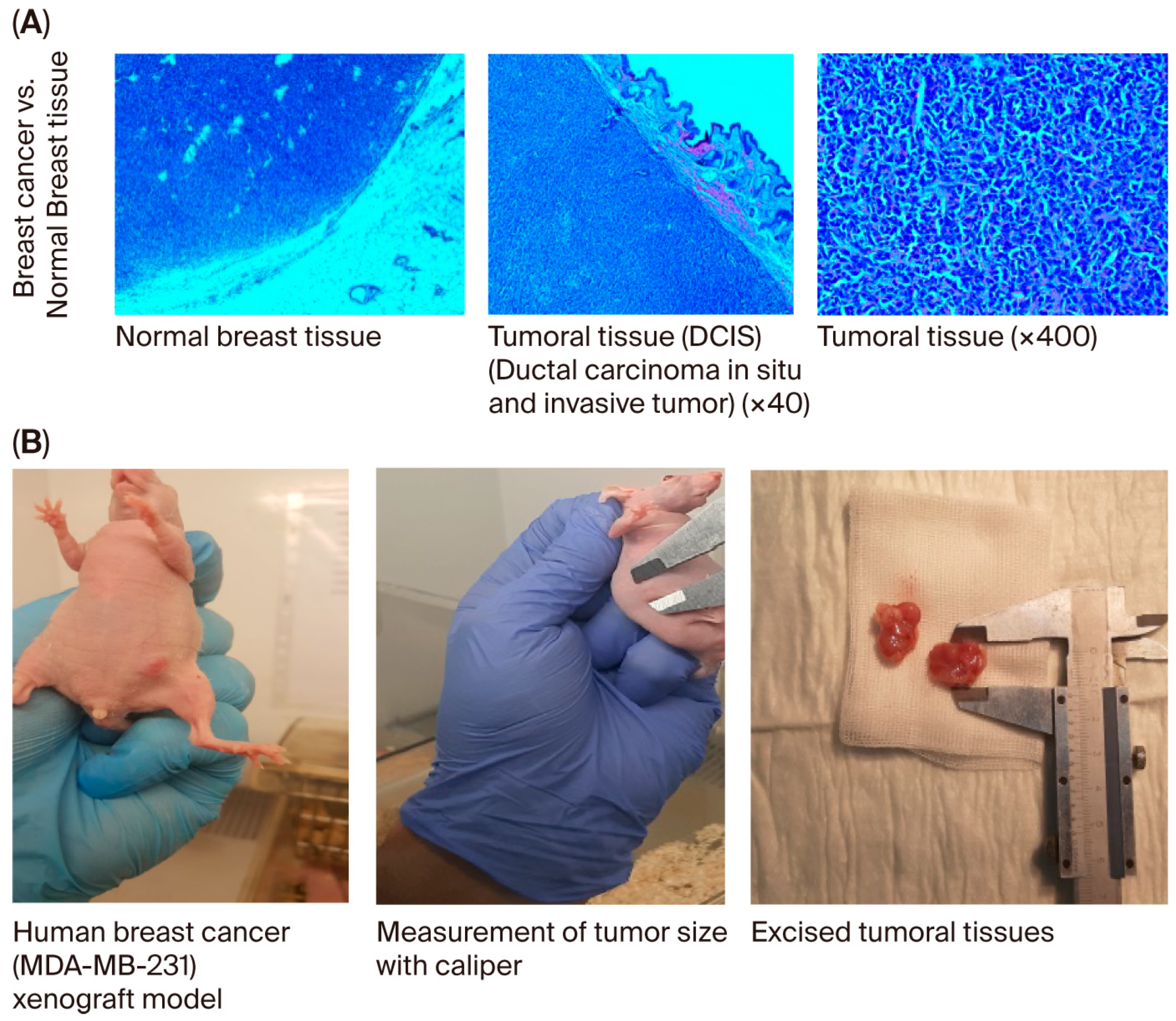 Molecules 30 04281 g007