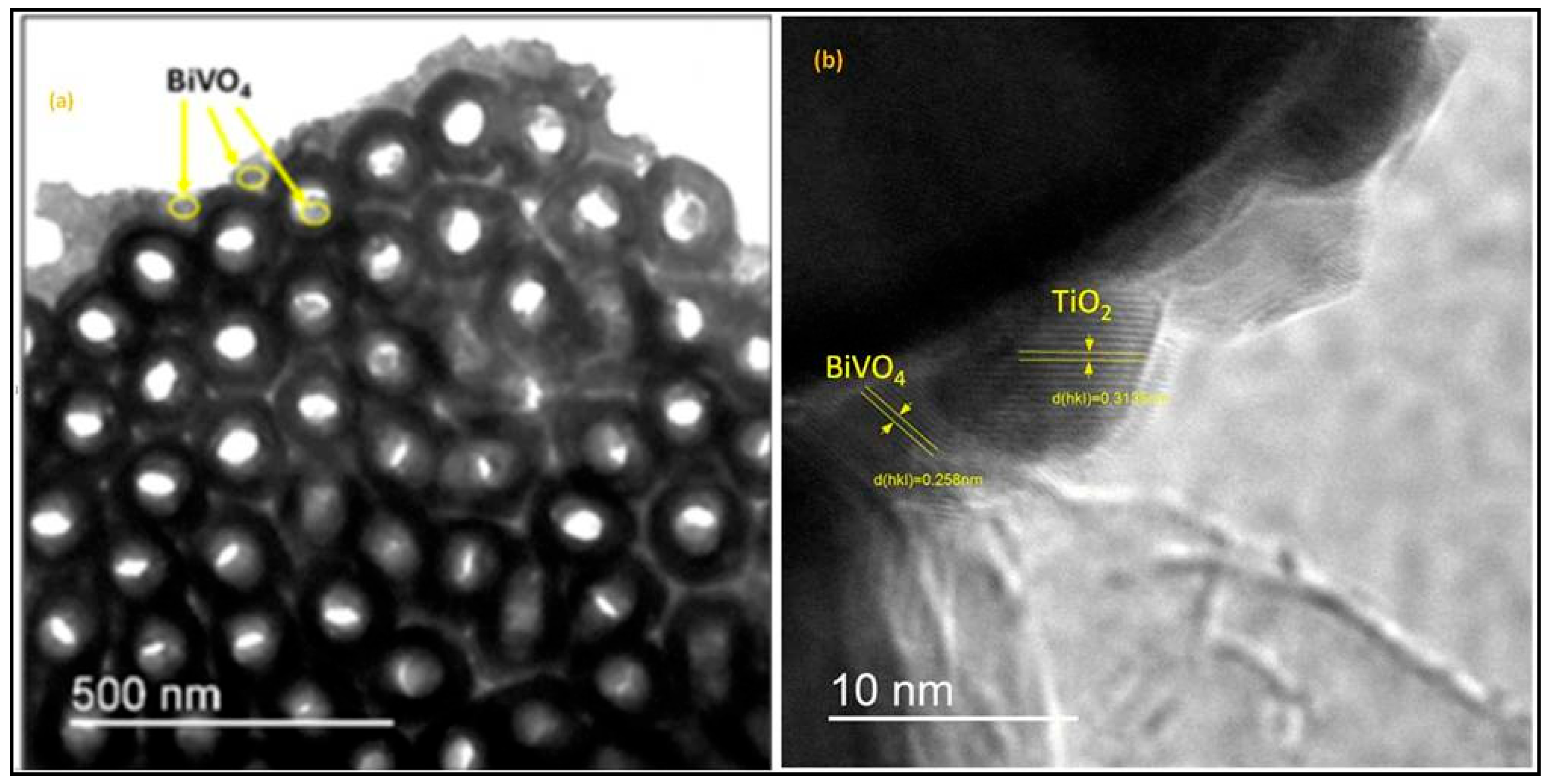 Molecules 30 04283 g006