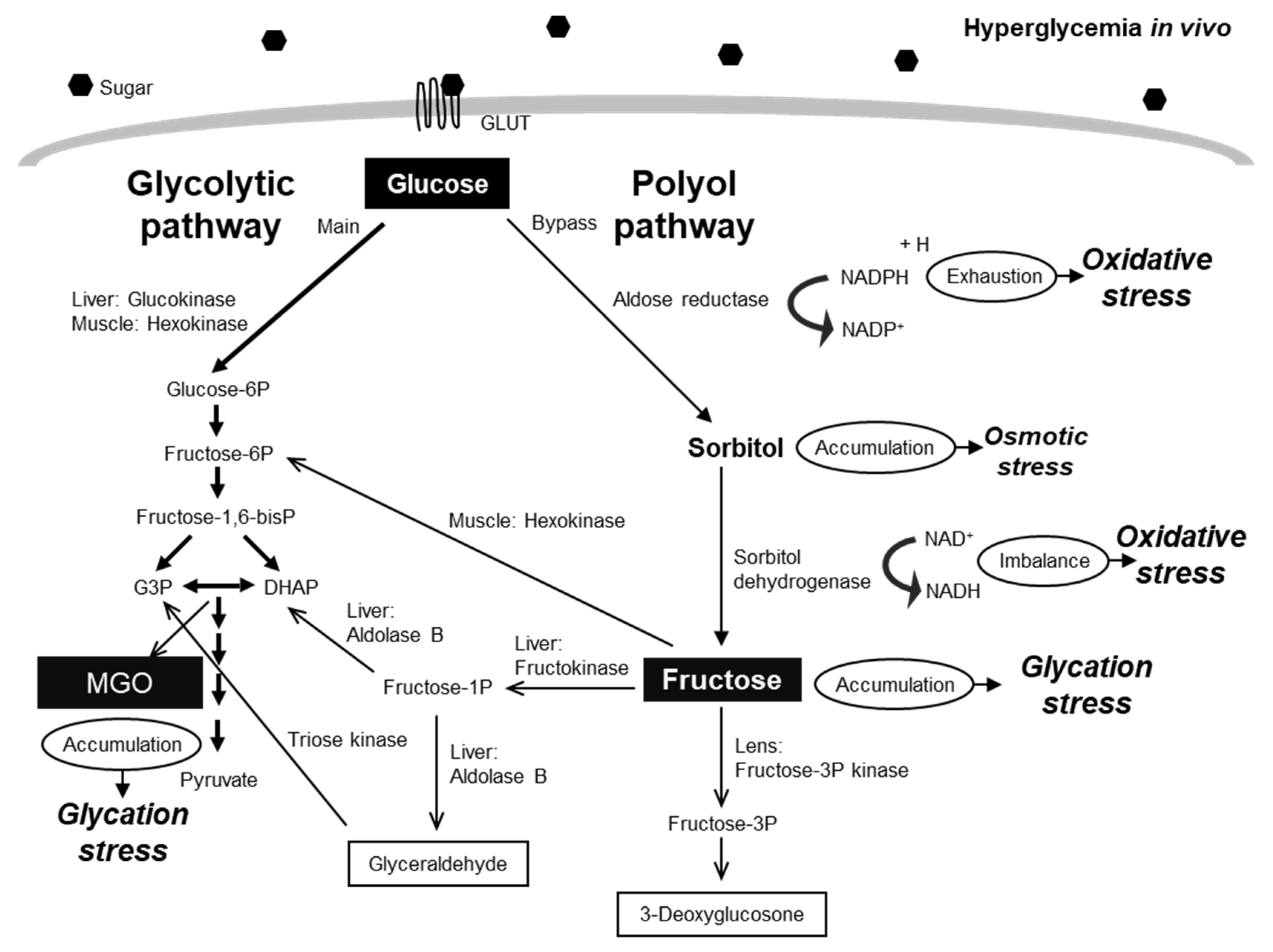 Molecules 30 04286 g001