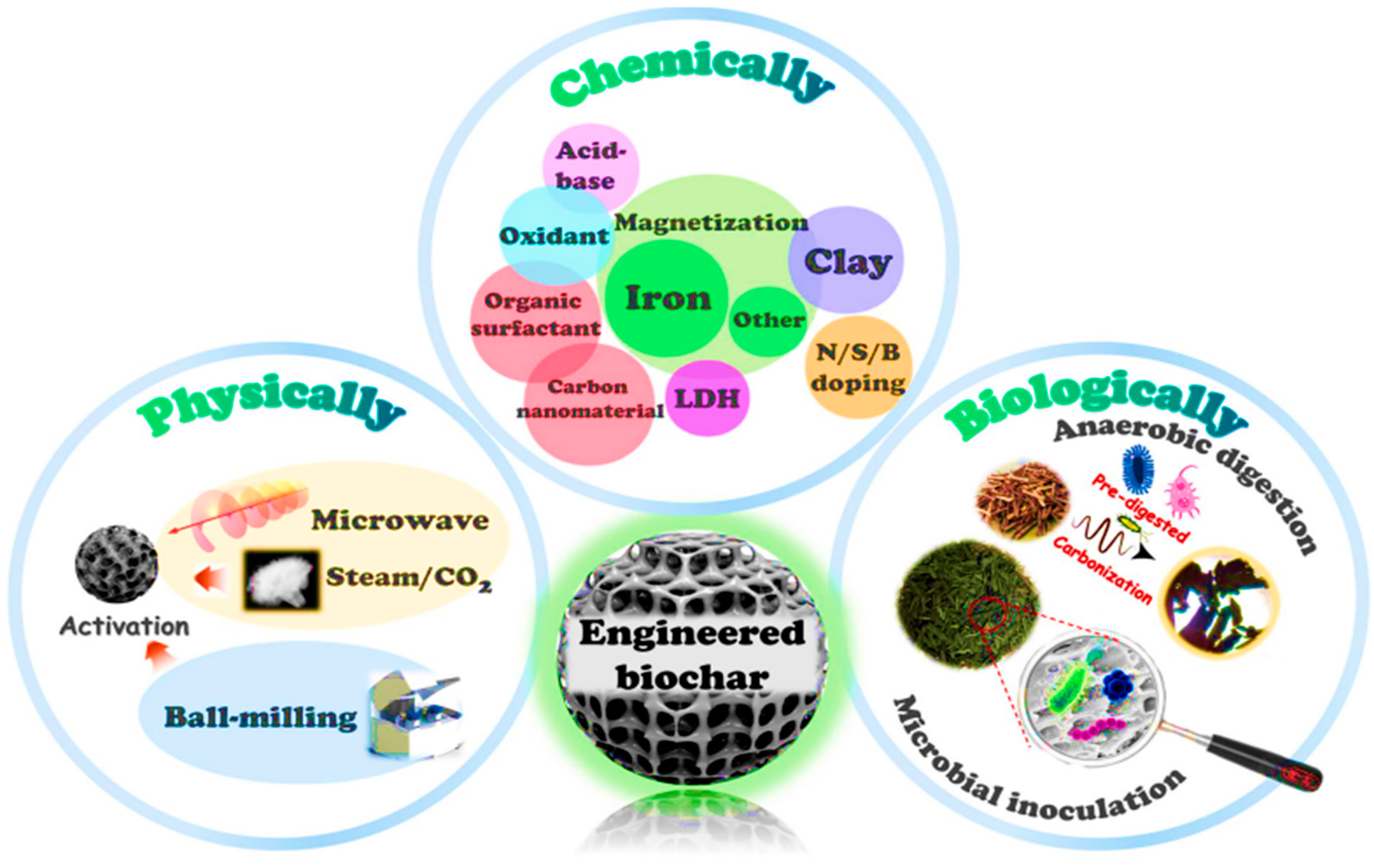 Molecules 30 04288 g007