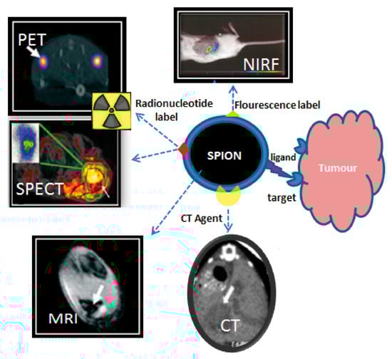 Molecules 30 04290 g006