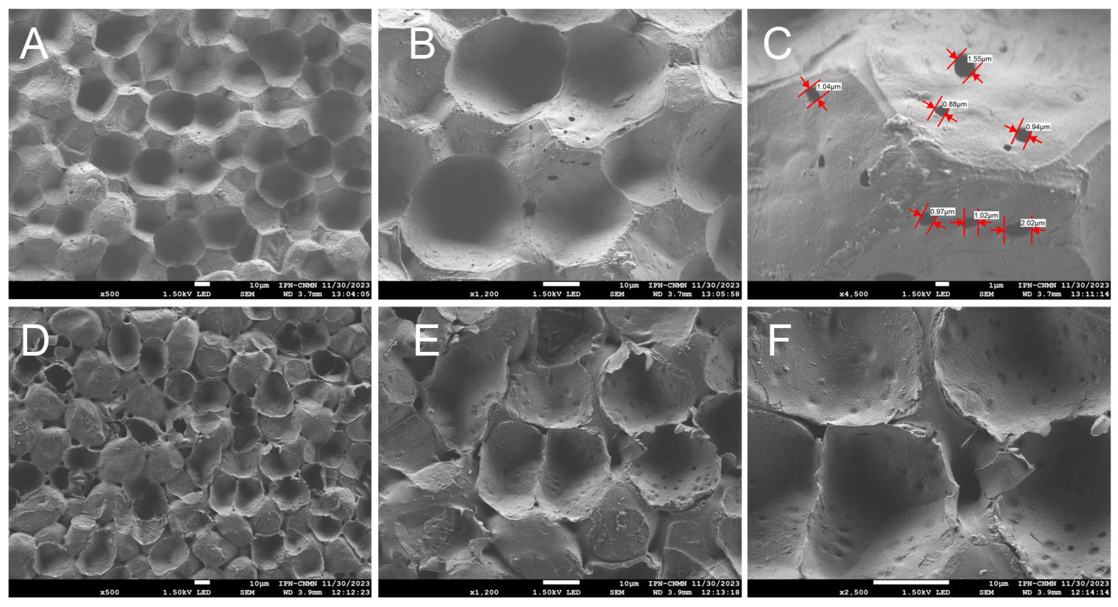 Molecules 30 04293 g005