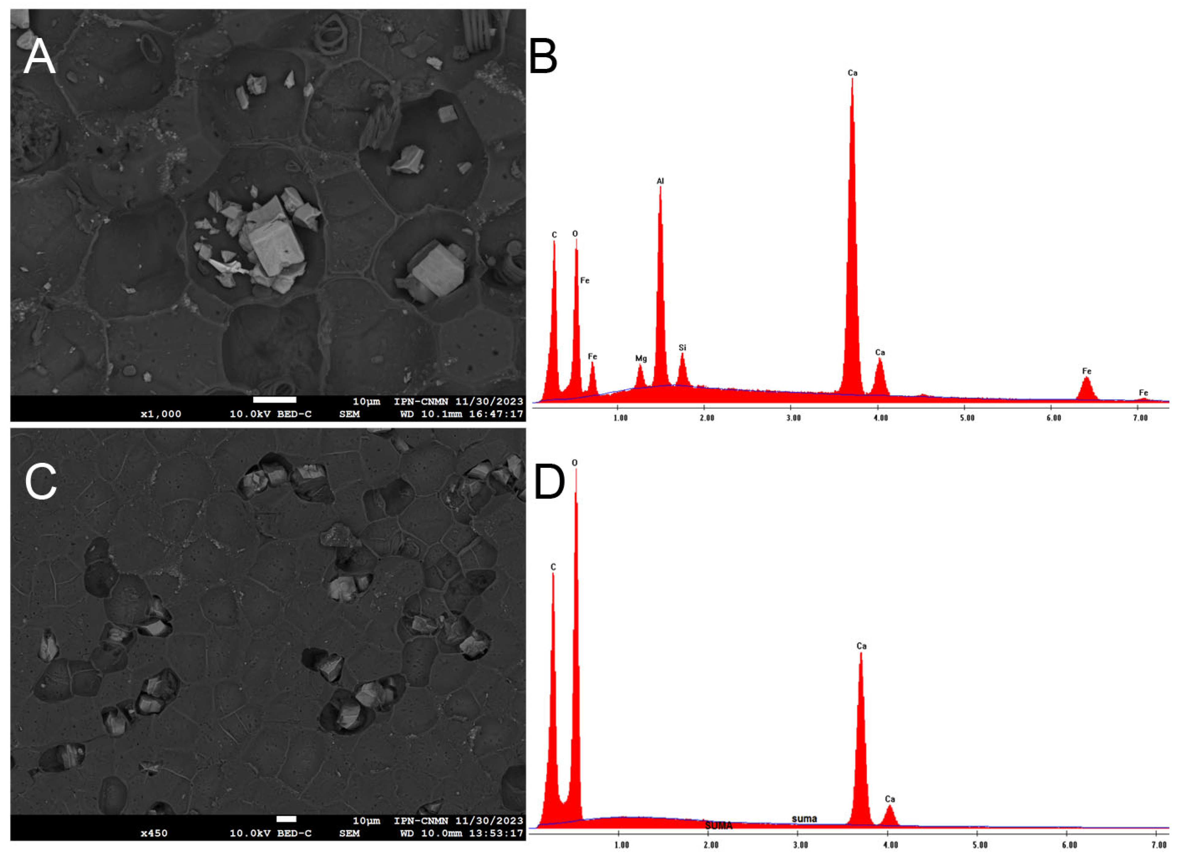 Molecules 30 04293 g007