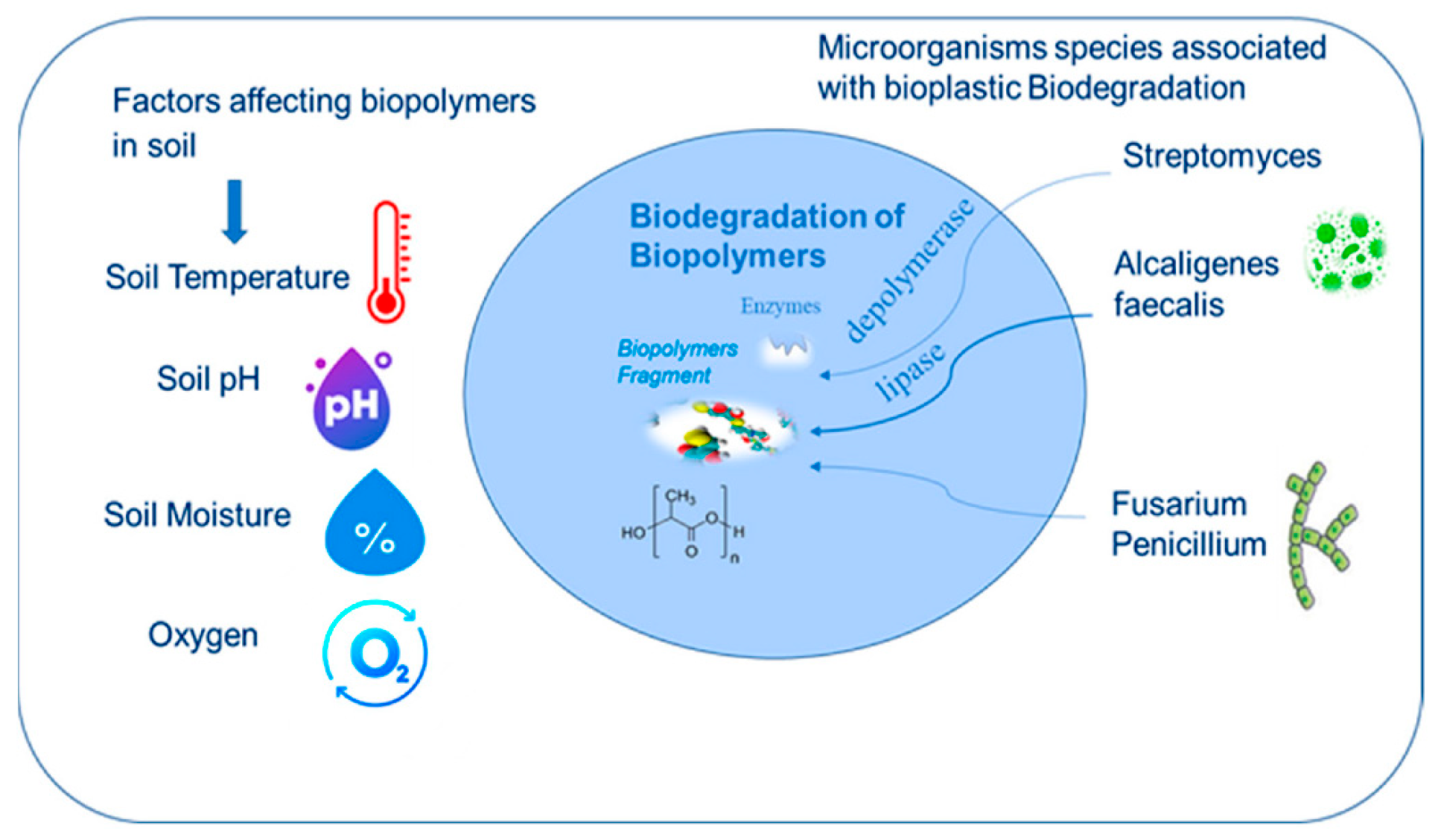 Molecules 30 04301 g015 Molecules 30 04301 g015
