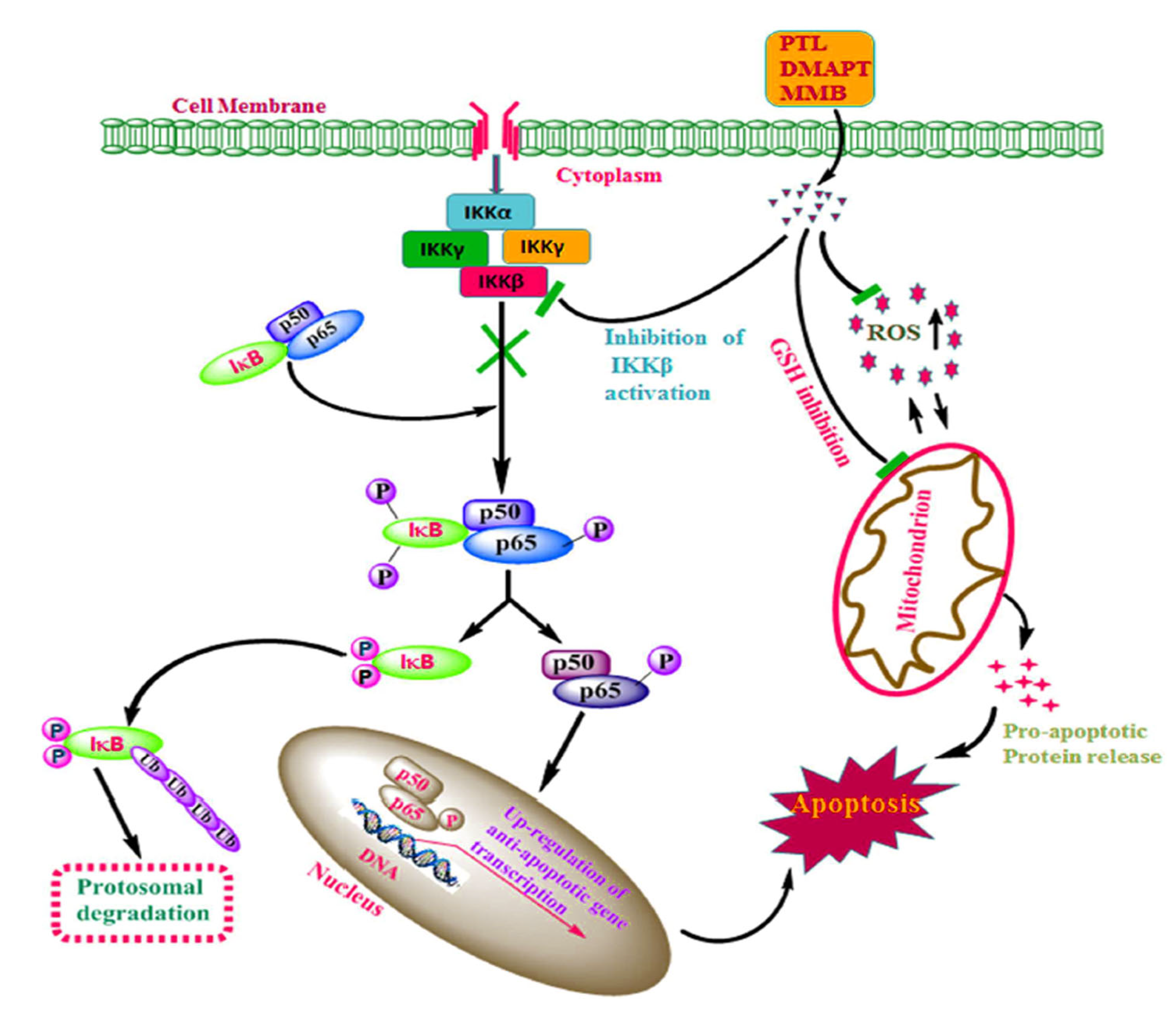 Molecules 30 04302 g002