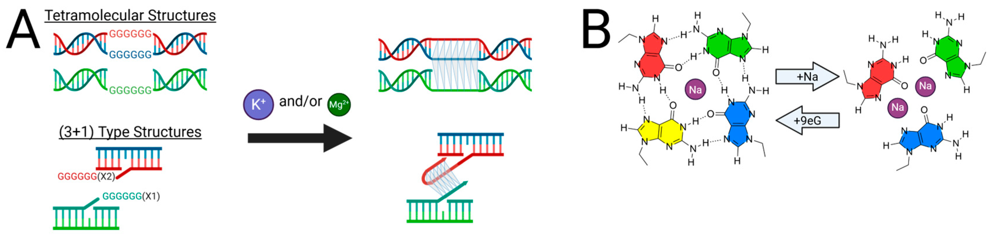 Molecules 30 04303 g007