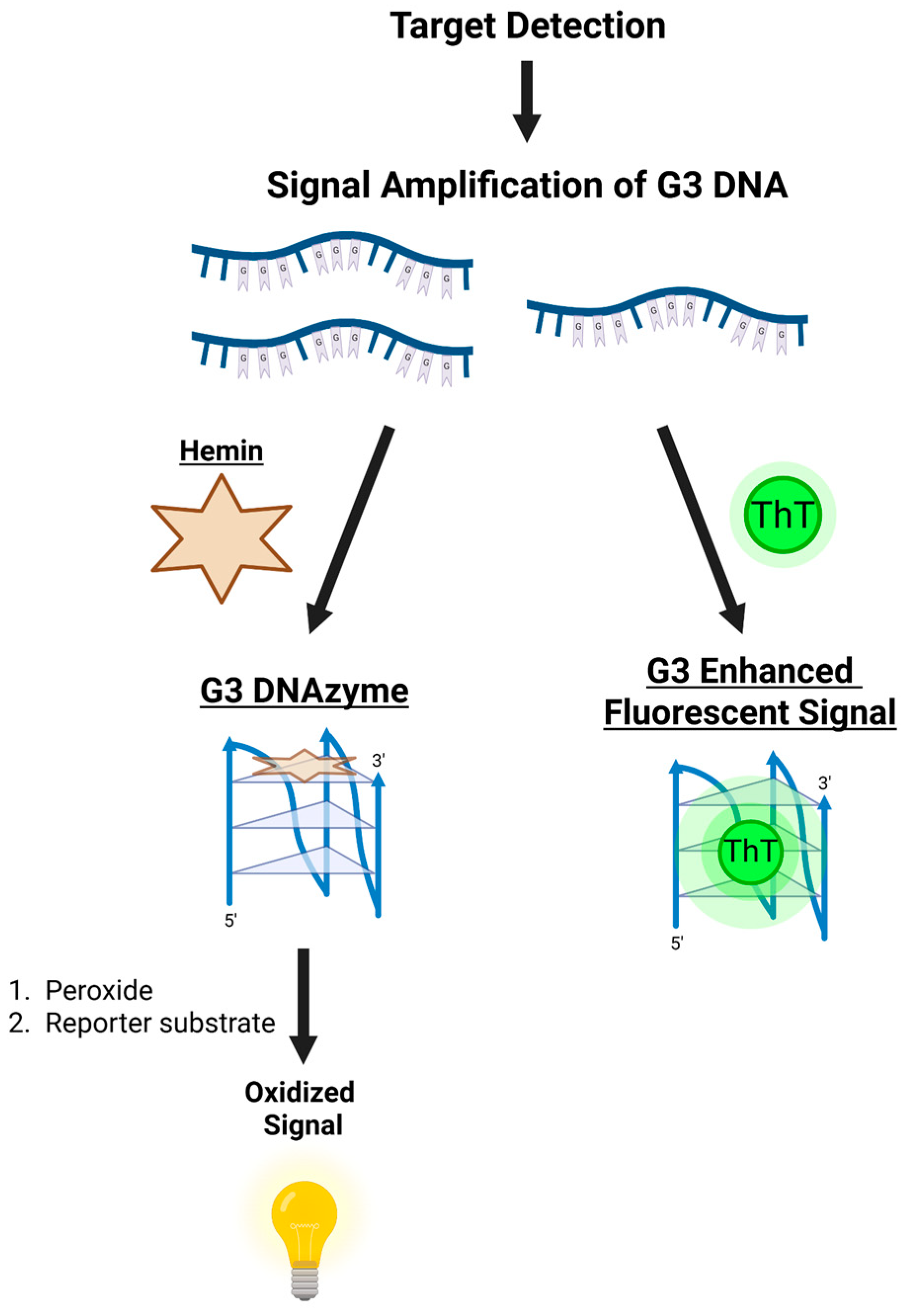 Molecules 30 04303 g011